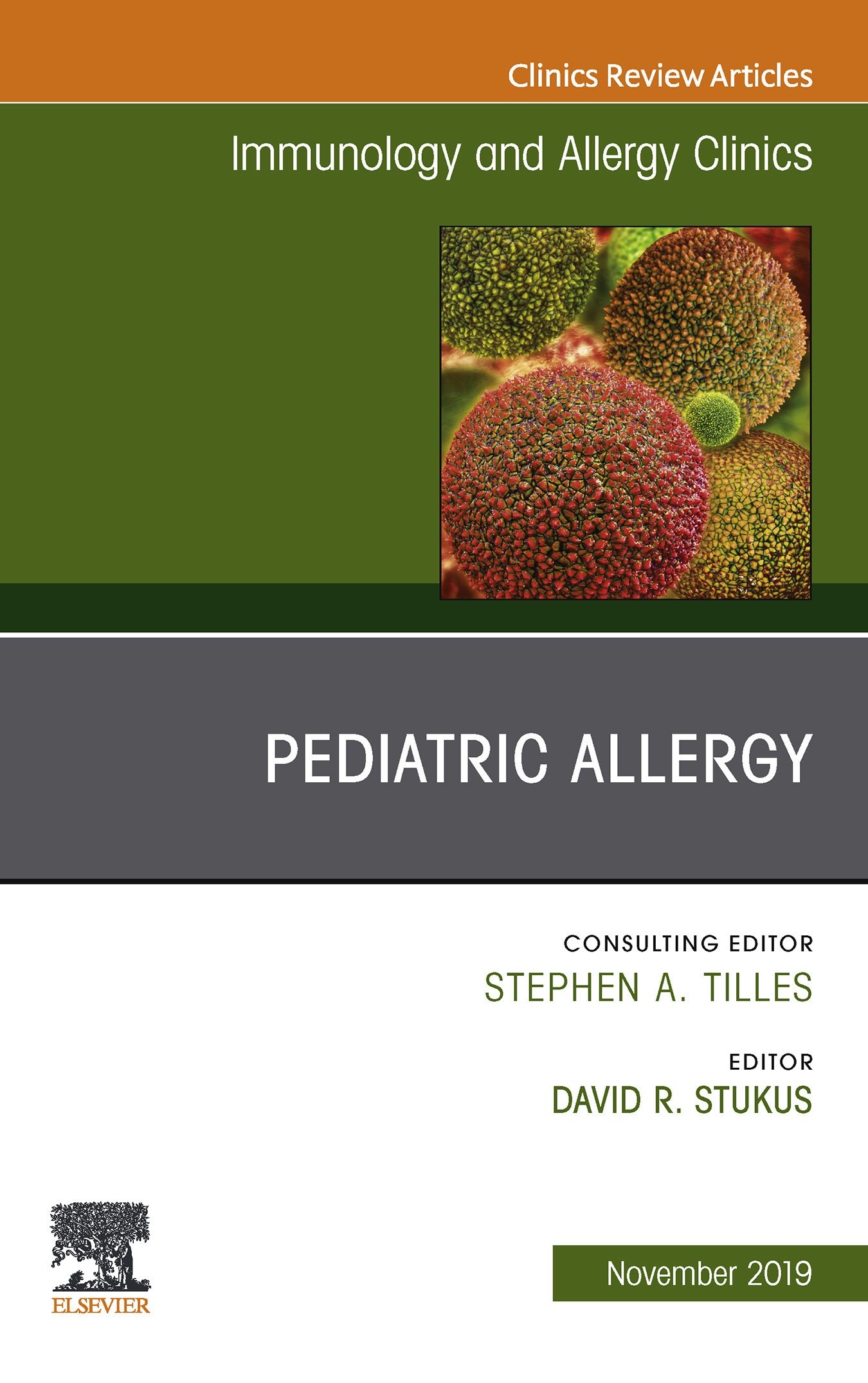 Cover Pediatric Allergy,An Issue of Immunology and Allergy Clinics E-book