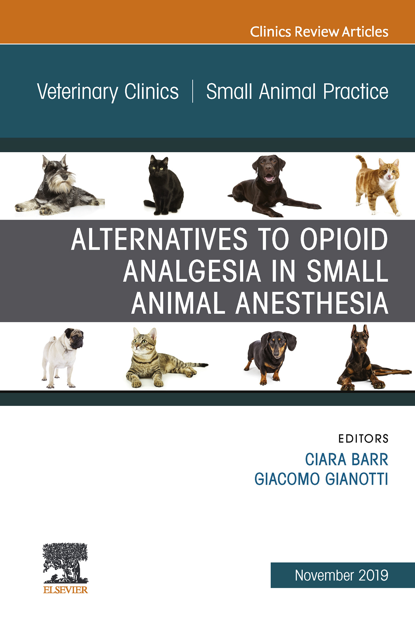 Alternatives to Opioid Analgesia in Small Animal Anesthesia, An Issue of Veterinary Clinics of North America: Small Animal Practice E-Book