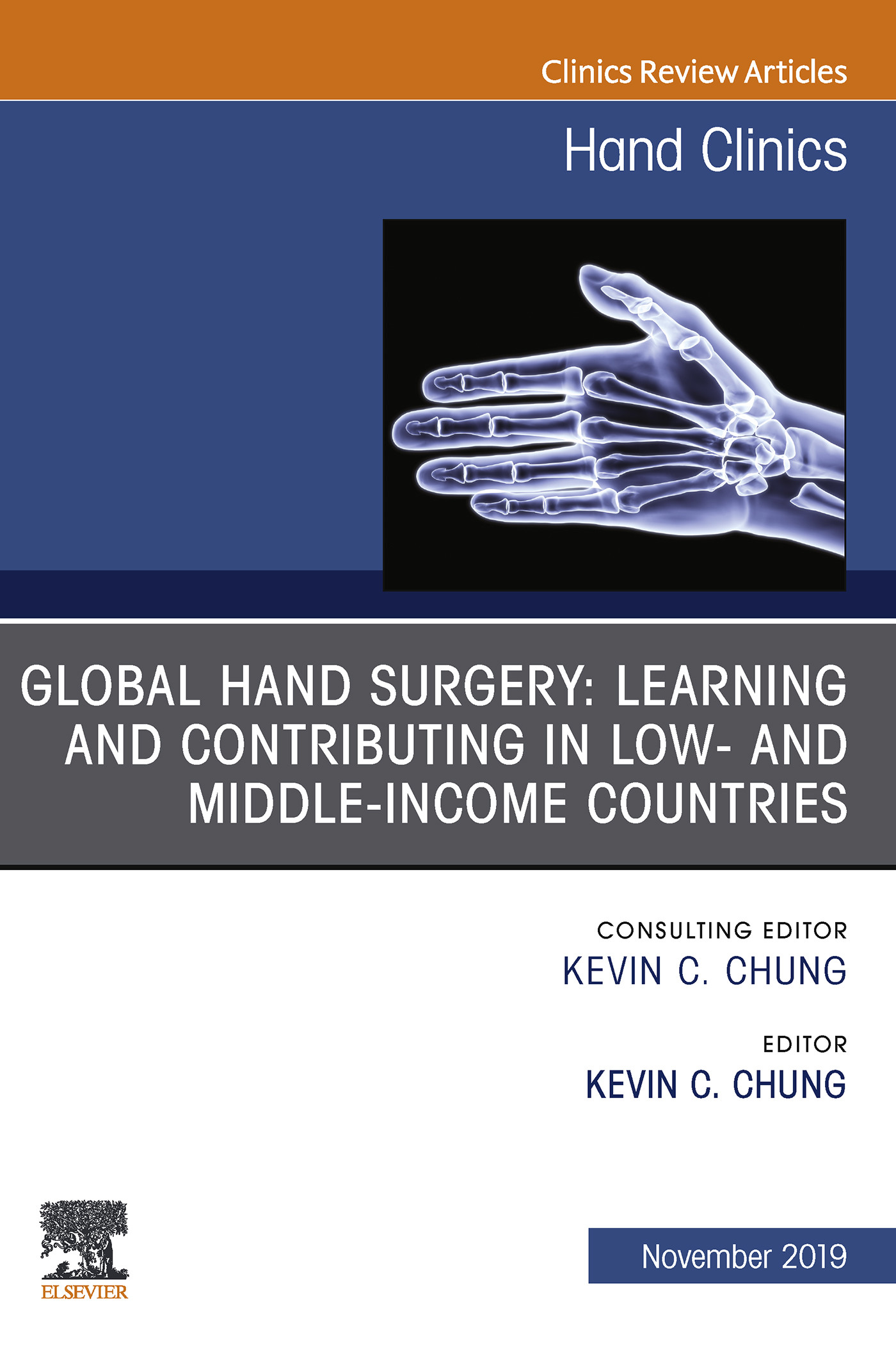 Global Hand Surgery: Learning and Contributing in Low- and Middle-Income Countries E-Book