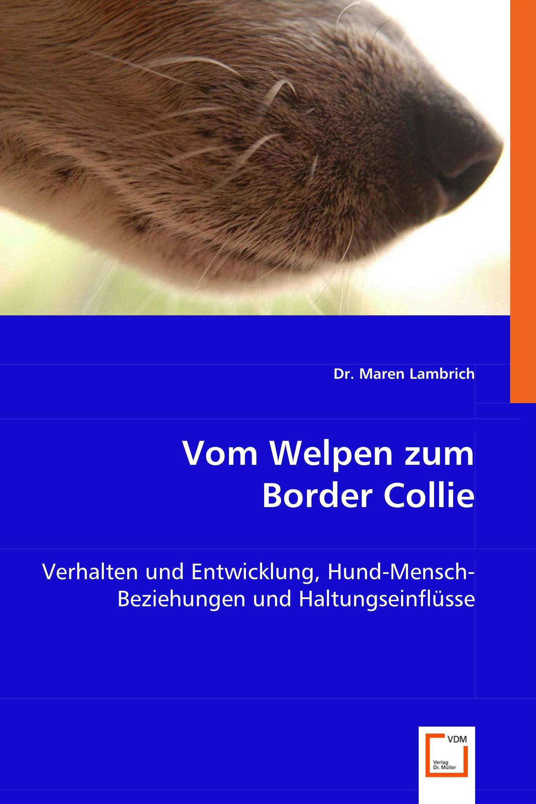 Cover Vom Welpen zum Border Collie