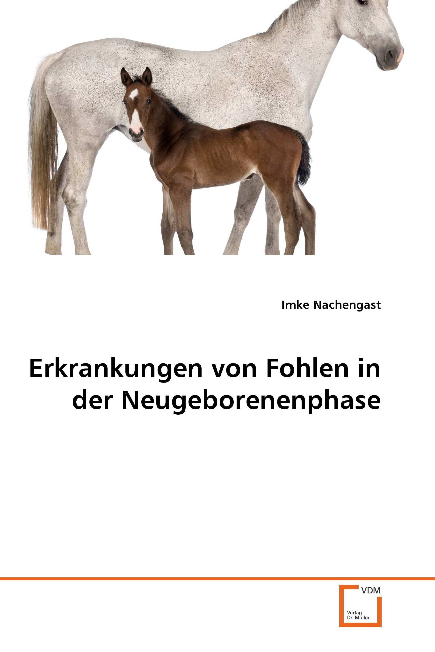 Cover Erkrankungen von Fohlen in der Neugeborenenphase