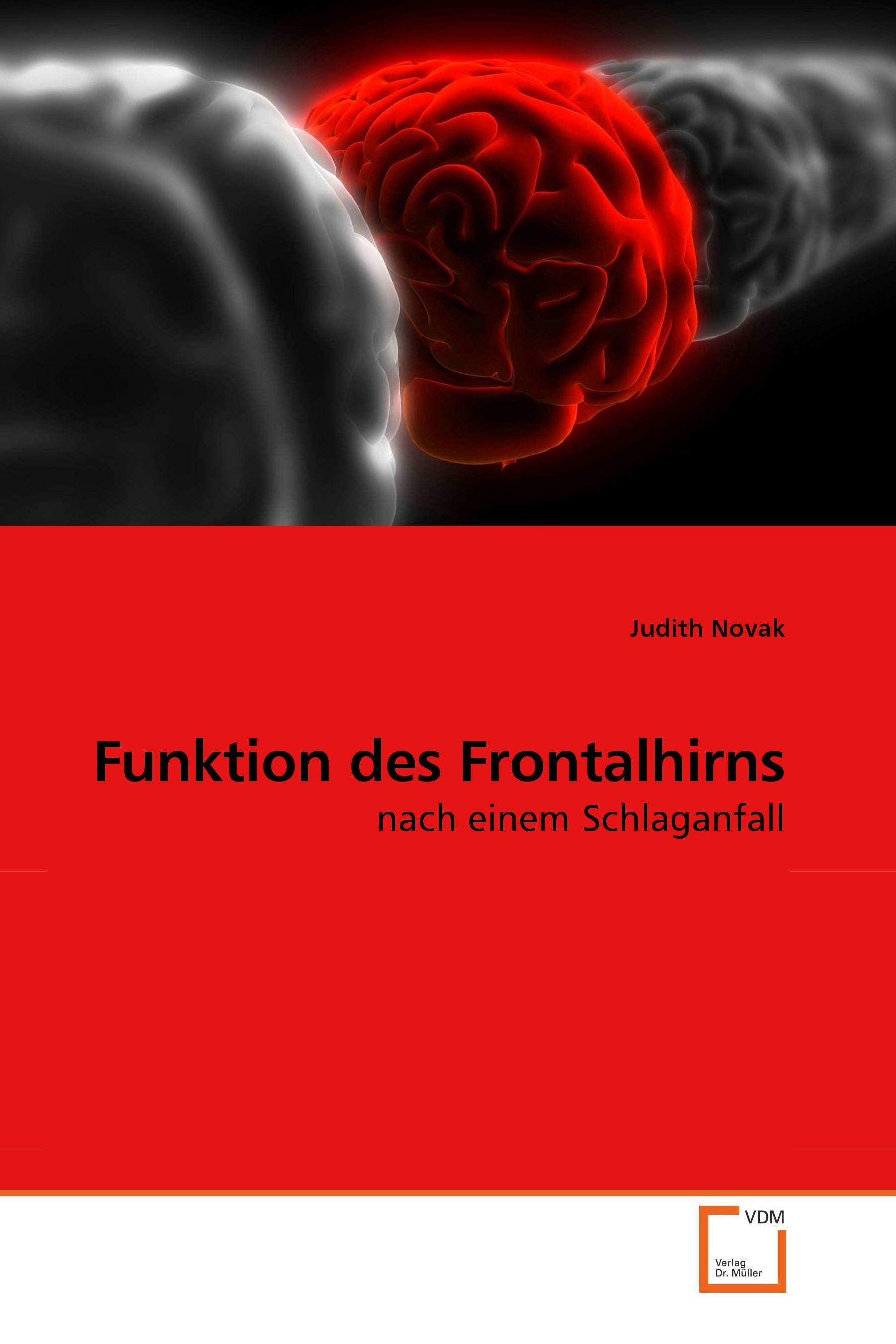 Cover Funktion des Frontalhirns