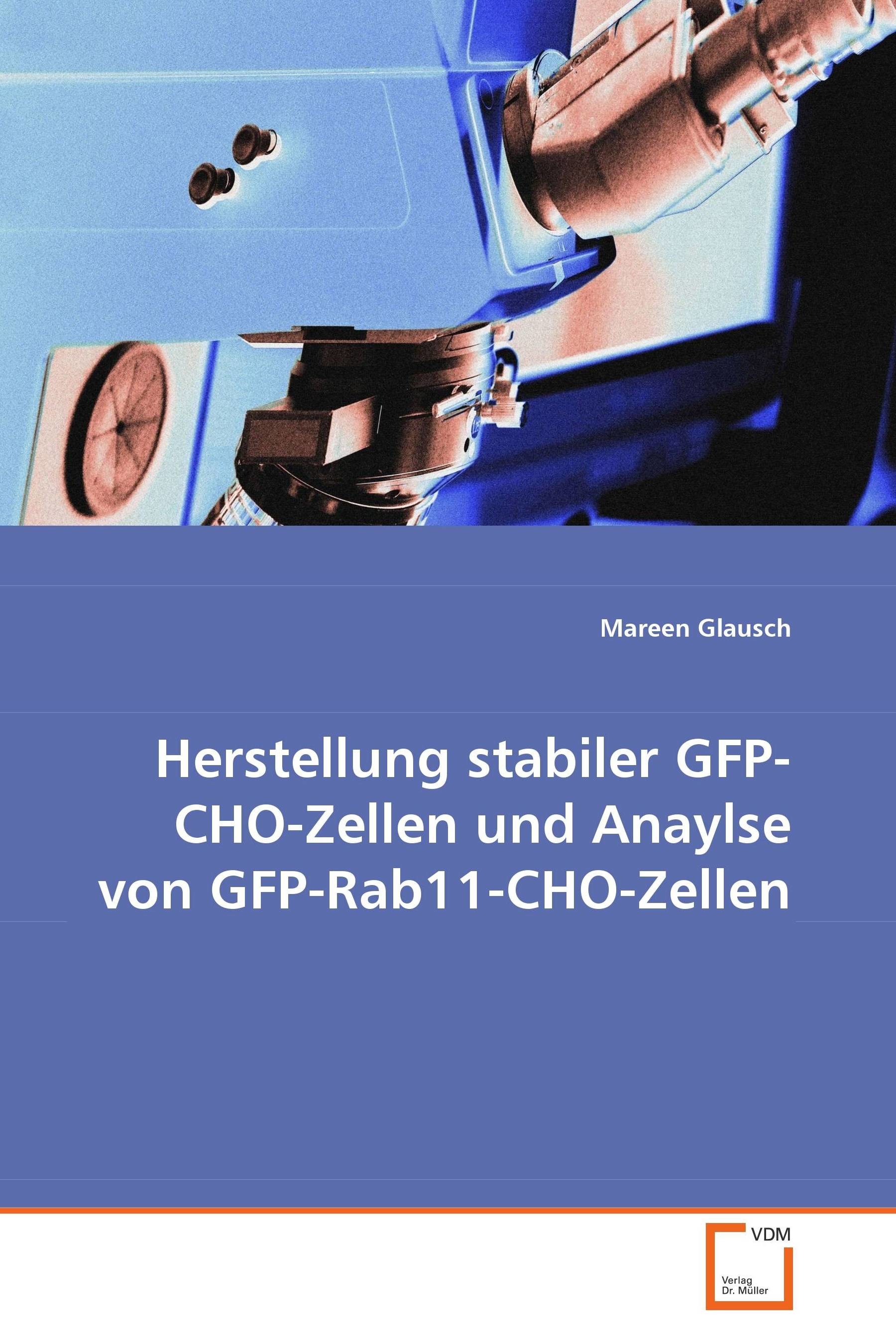 Herstellung stabiler GFP-CHO-Zellen und Anaylse vonGFP-Rab11-CHO-Zellen