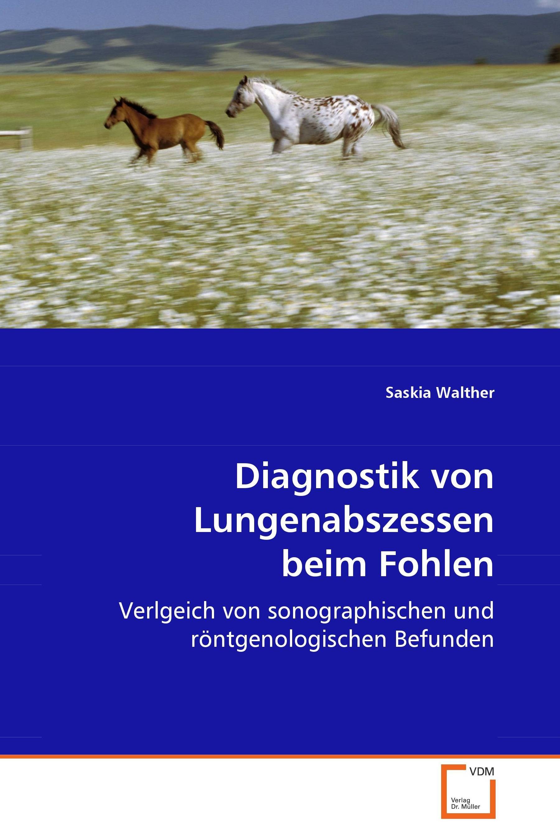 Diagnostik von Lungenabszessen beim Fohlen