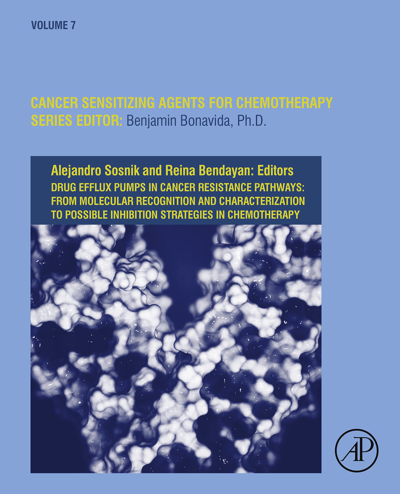 Cover Drug Efflux Pumps in Cancer Resistance Pathways: From Molecular Recognition and Characterization to Possible Inhibition Strategies in Chemotherapy