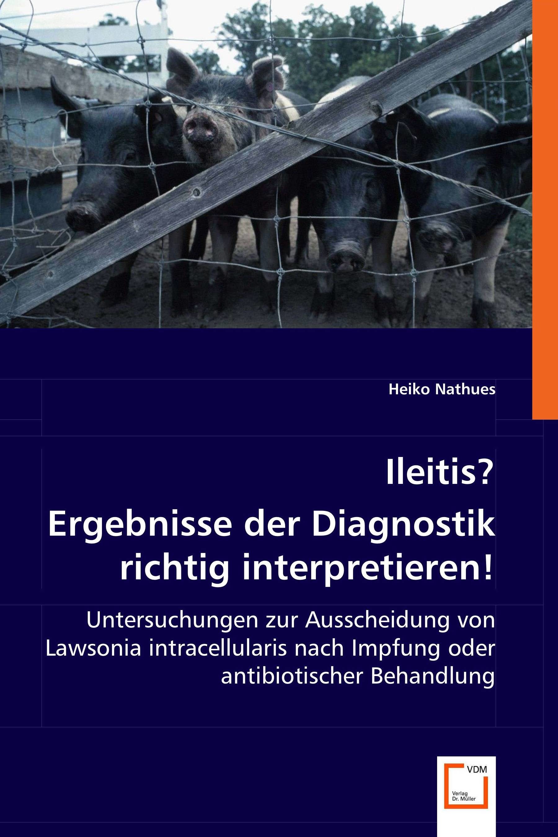 Ileitis? Ergebnisse der Diagnostik richtig interpretieren!