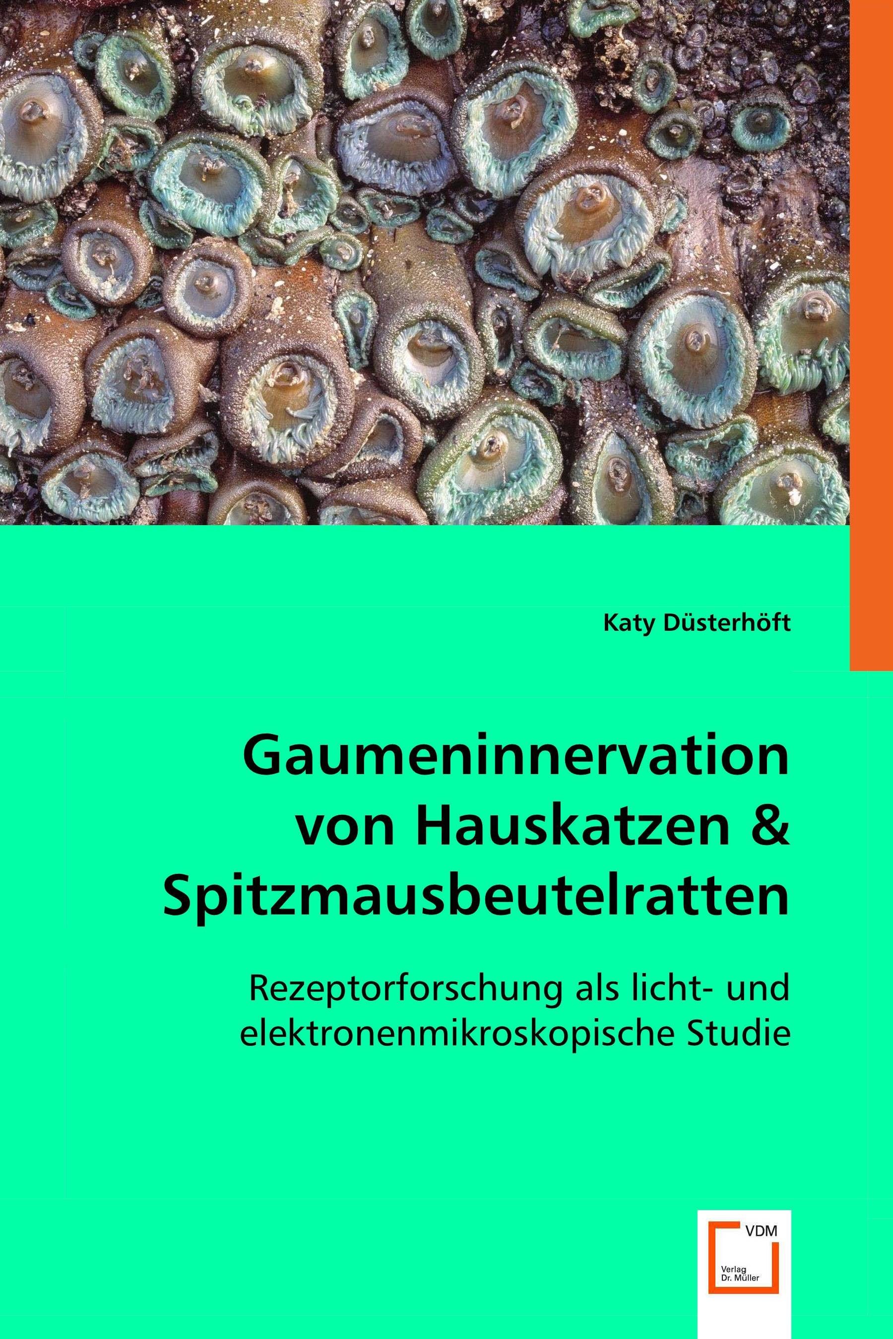 Gaumeninnervation von Hauskatzen& Spitzmausbeutelratten