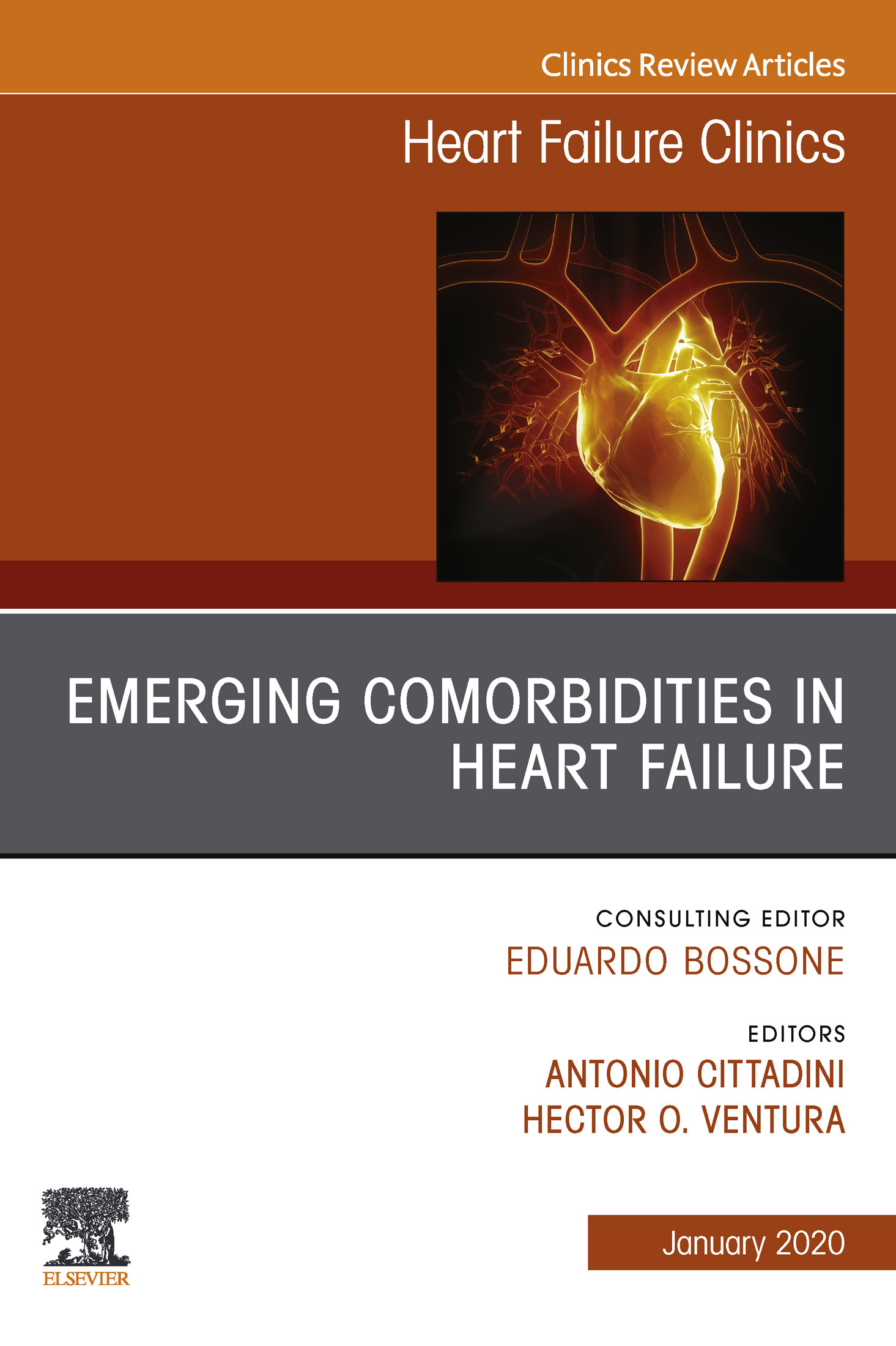 Cover Emerging Comorbidities in Heart Failure, An Issue of Heart Failure Clinics, E-Book