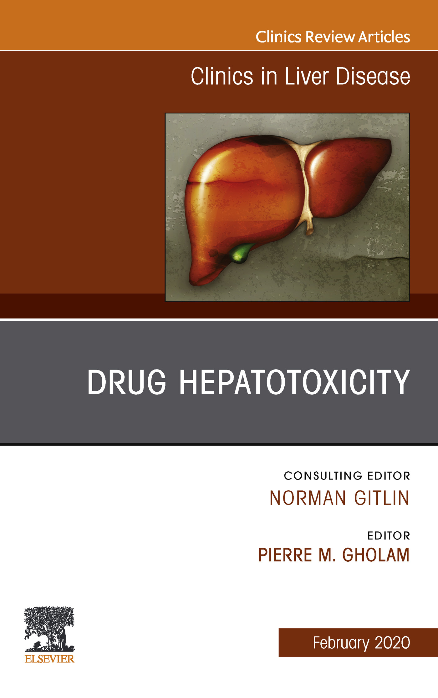Cover Drug Hepatotoxicity,An Issue of Clinics in Liver Disease, E-Book