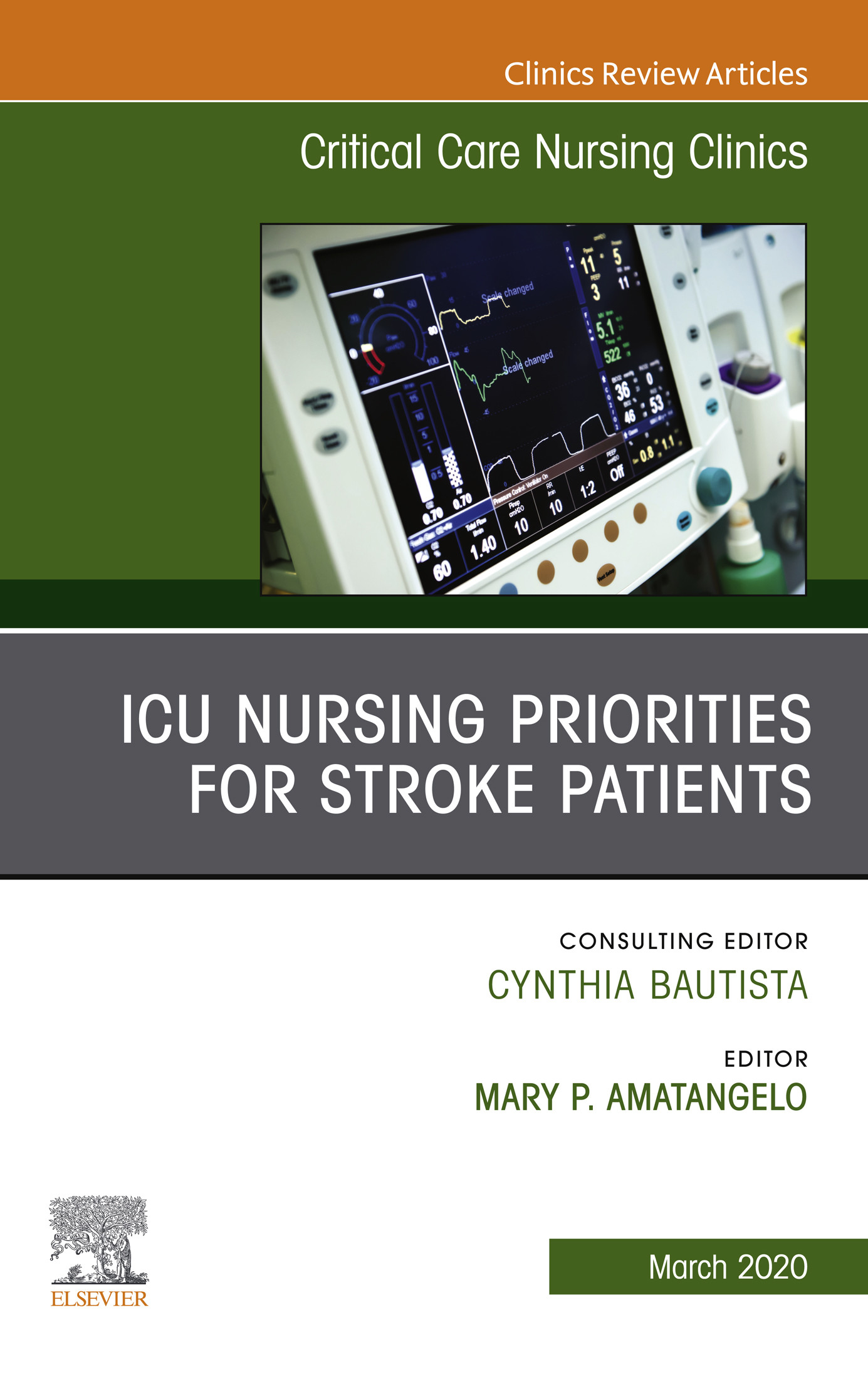 Cover ICU Nursing Priorities for Stroke Patients , An Issue of Critical Care Nursing Clinics of North America E-Book
