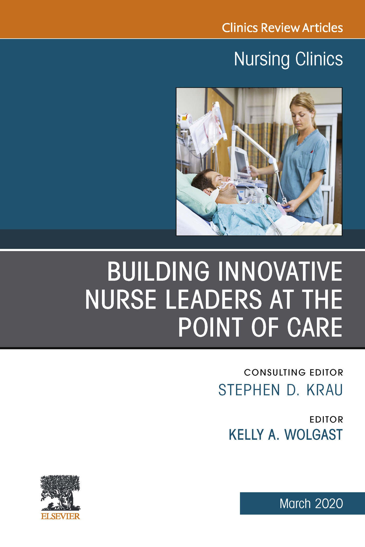 Cover Building Innovative Nurse Leaders at the Point of Care,An Issue of Nursing Clinics E-Book