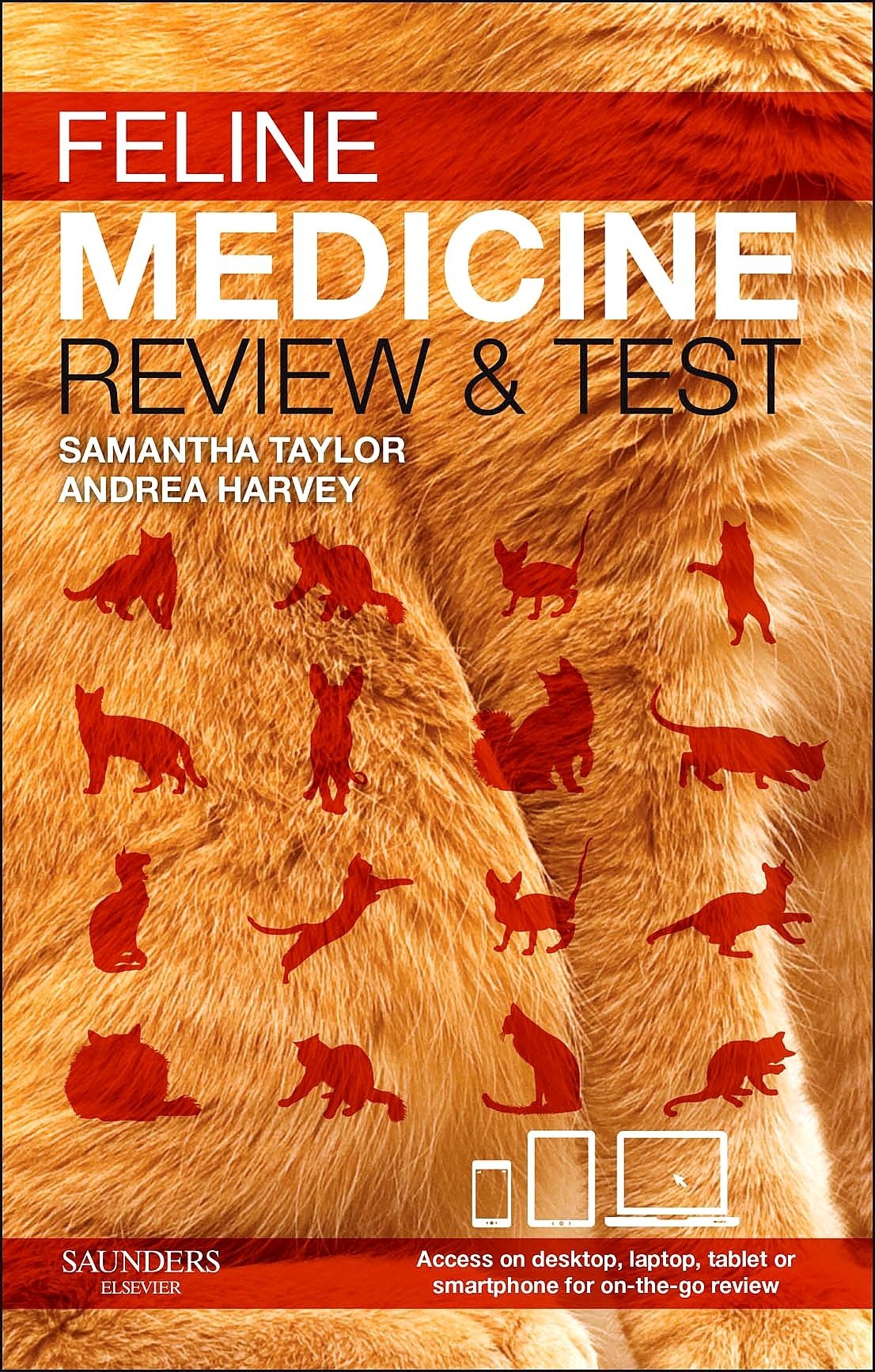 Cover Feline Medicine - review and test - E-Book