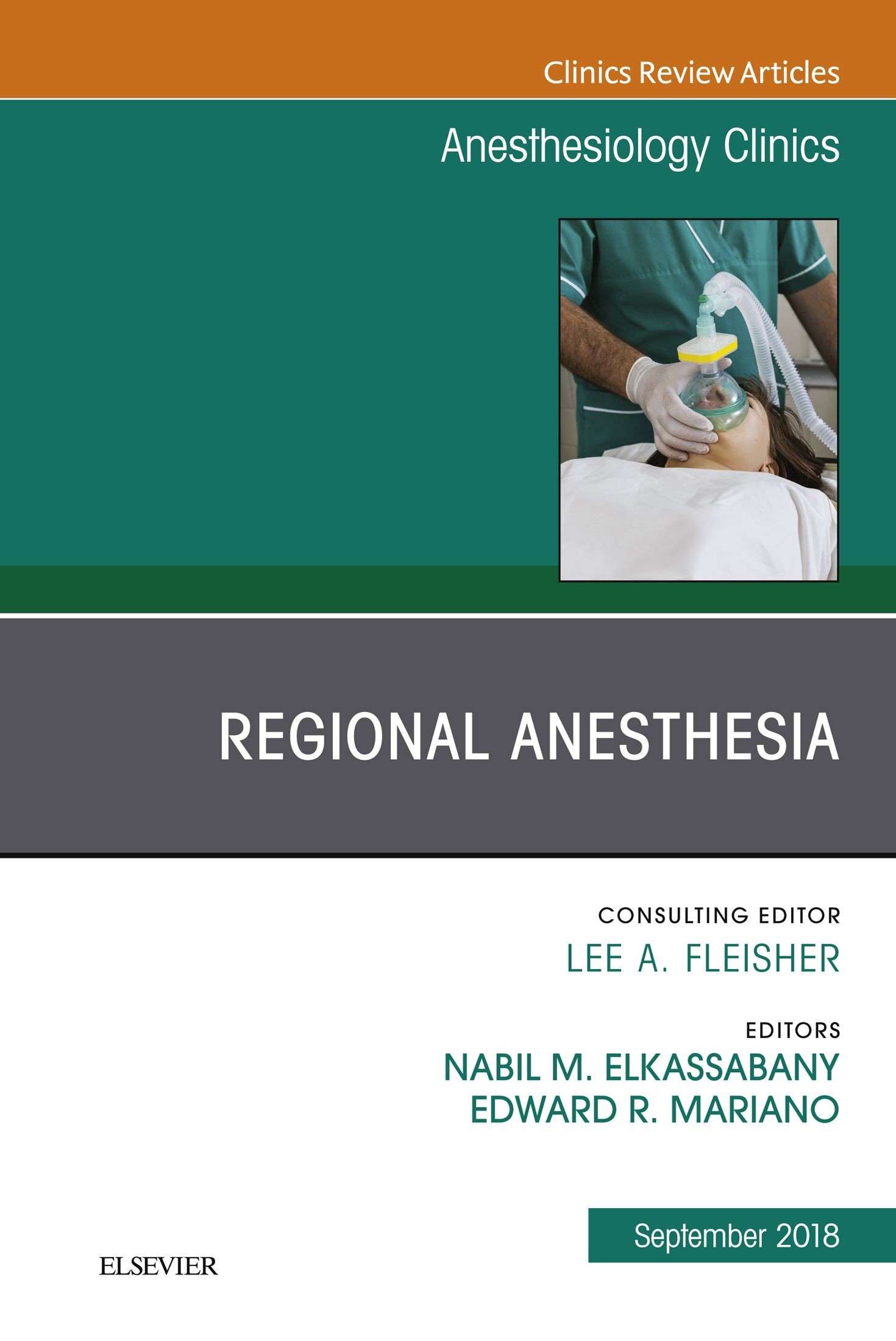 Regional Anesthesia, An Issue of Anesthesiology Clinics E-Book