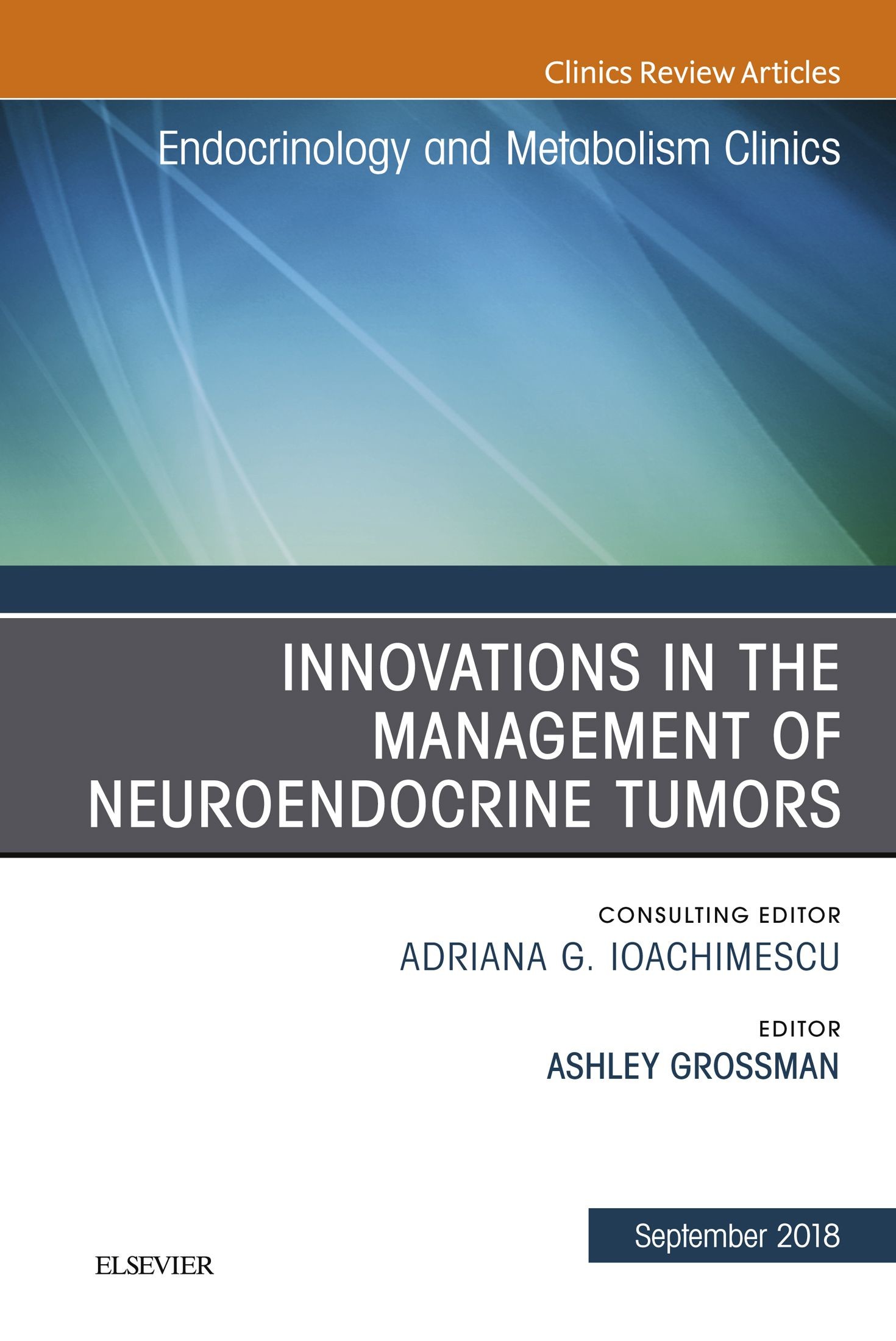 Cover Innovations in the Management of Neuroendocrine Tumors, An Issue of Endocrinology and Metabolism Clinics of North America E-Book
