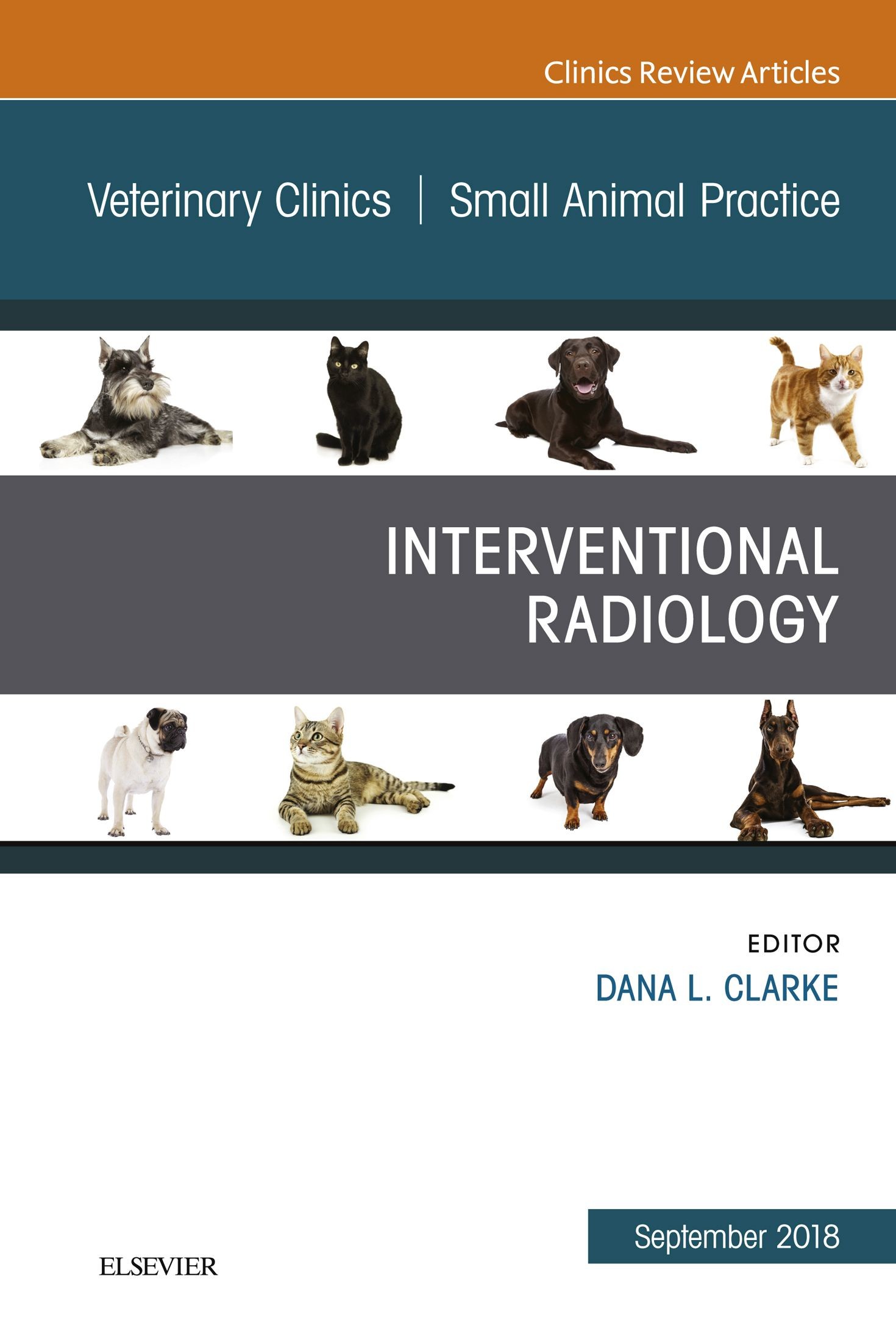 Cover Interventional Radiology, An Issue of Veterinary Clinics of North America: Small Animal Practice - EBK