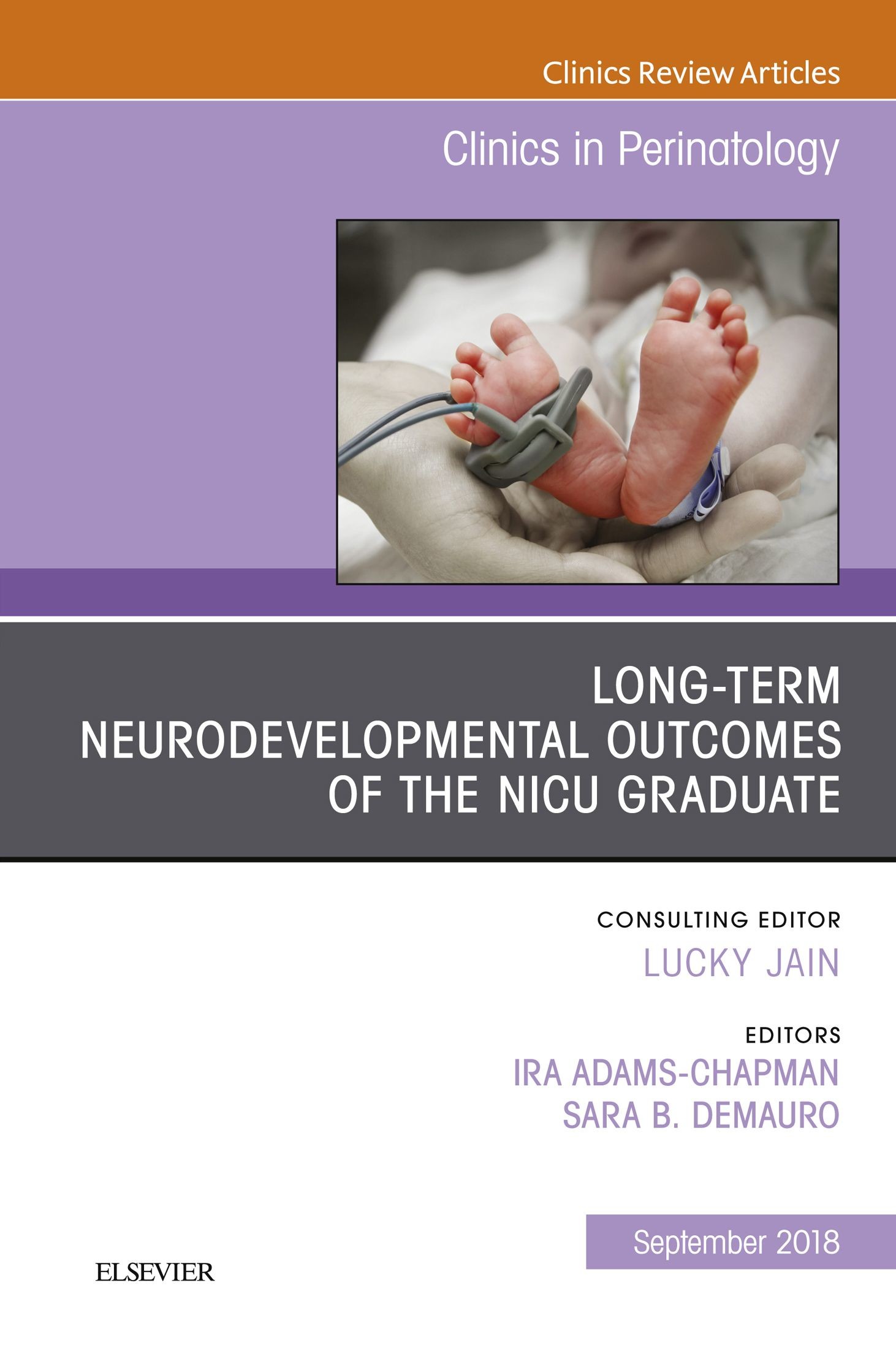 Long-Term Neurodevelopmental Outcomes of the NICU Graduate, An Issue of Clinics in Perinatology E-Book
