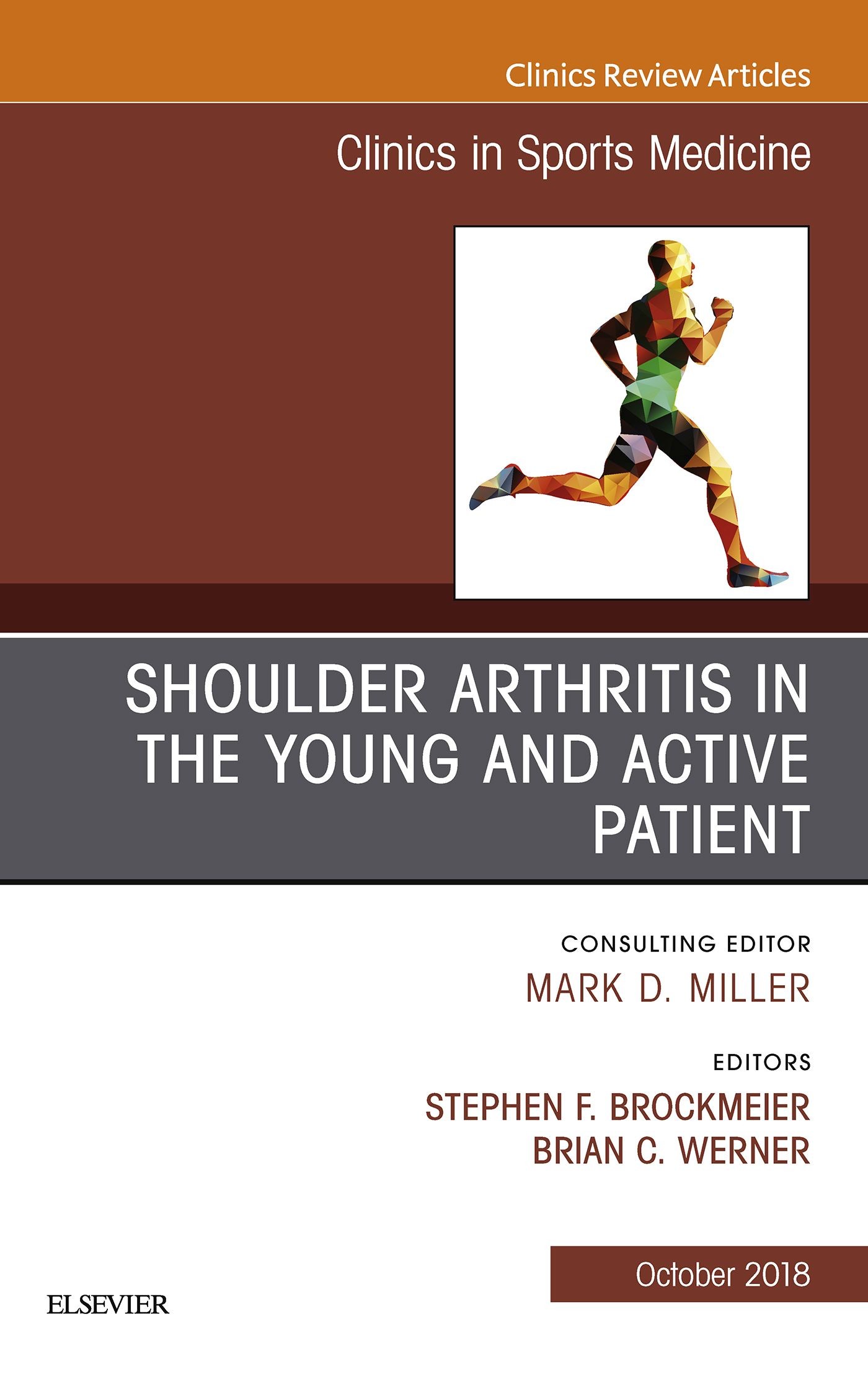 Shoulder Arthritis in the Young and Active Patient, An Issue of Clinics in Sports Medicine E-Book