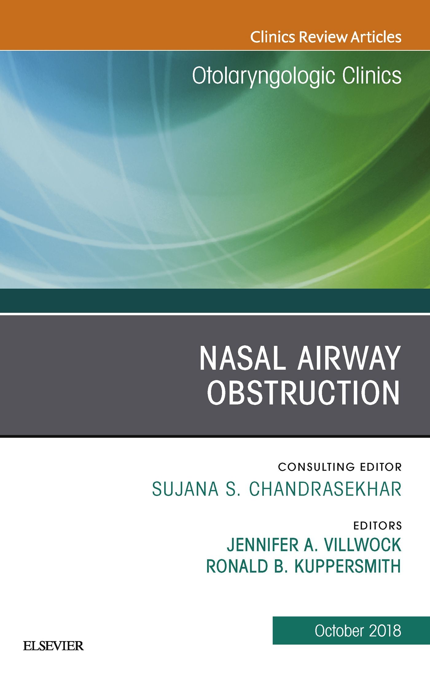 Cover Nasal Airway Obstruction, An Issue of Otolaryngologic Clinics of North America, Ebook
