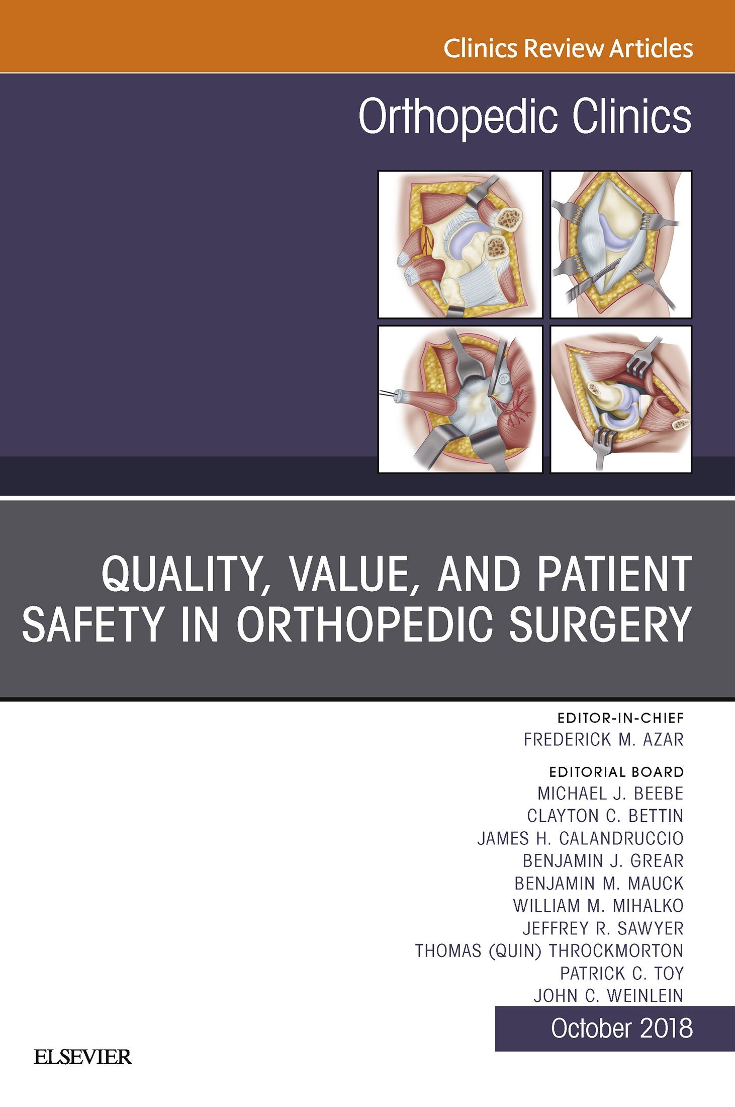 Quality, Value, and Patient Safety in Orthopedic Surgery, An Issue of Orthopedic Clinics E-Book