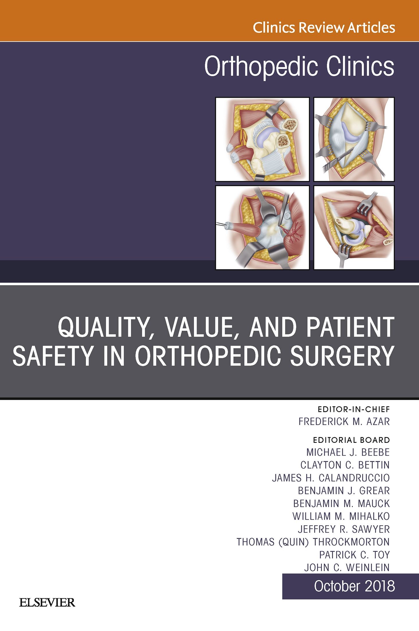 Cover Quality, Value, and Patient Safety in Orthopedic Surgery, An Issue of Orthopedic Clinics E-Book