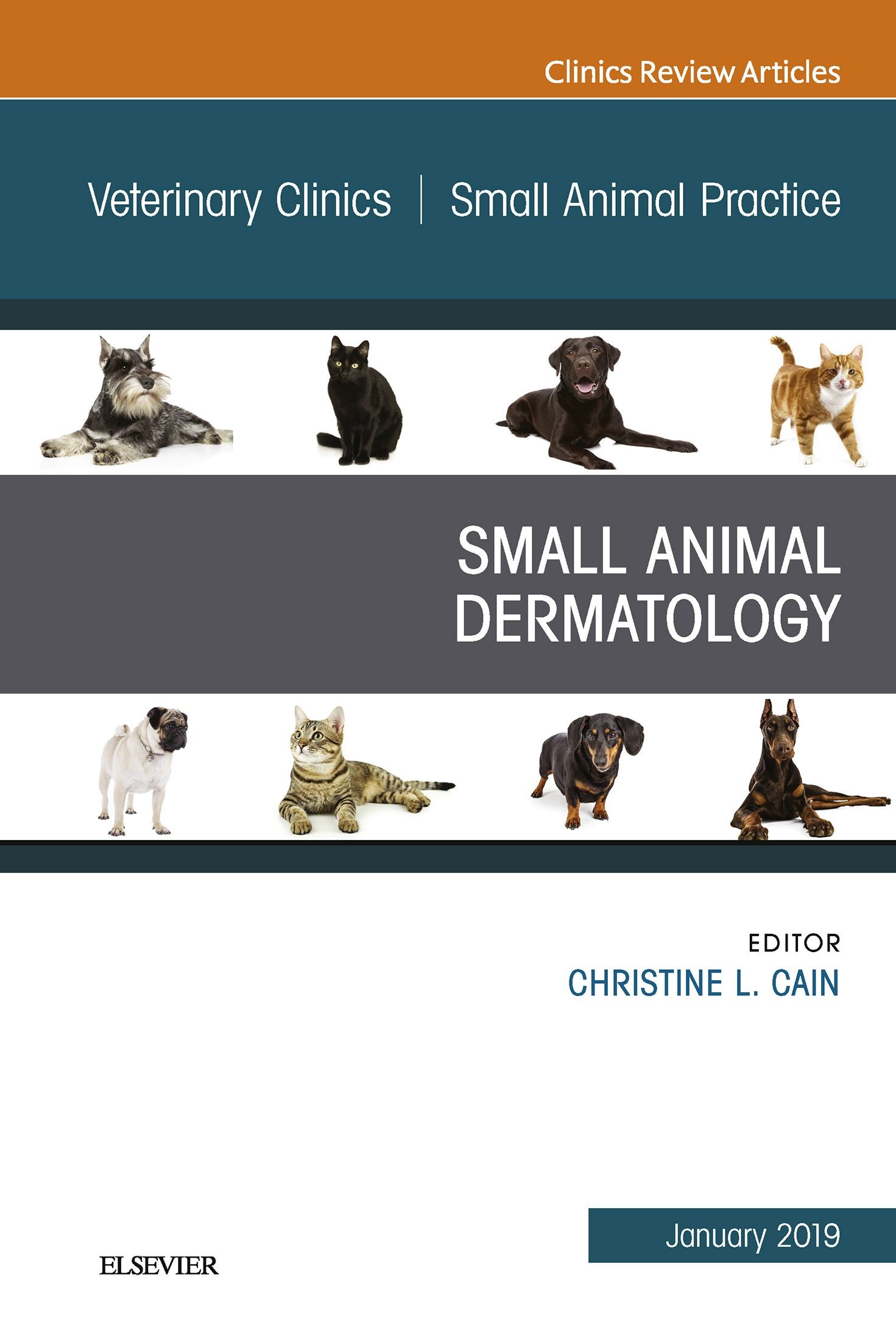 Cover Dermatology, An Issue of Veterinary Clinics of North America: Small Animal Practice, E-Book