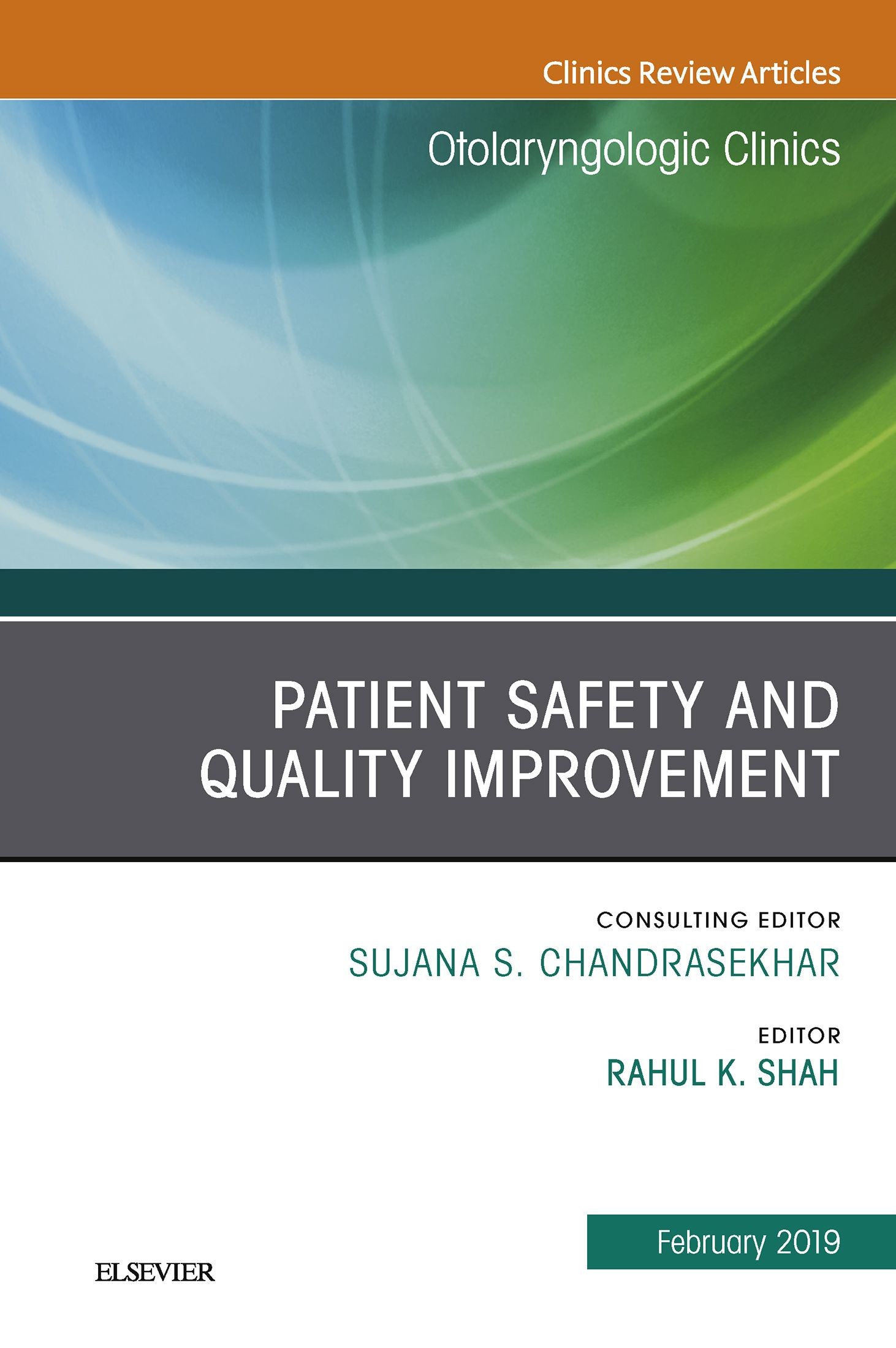 Cover Patient Safety, An Issue of Otolaryngologic Clinics of North America, E-Book