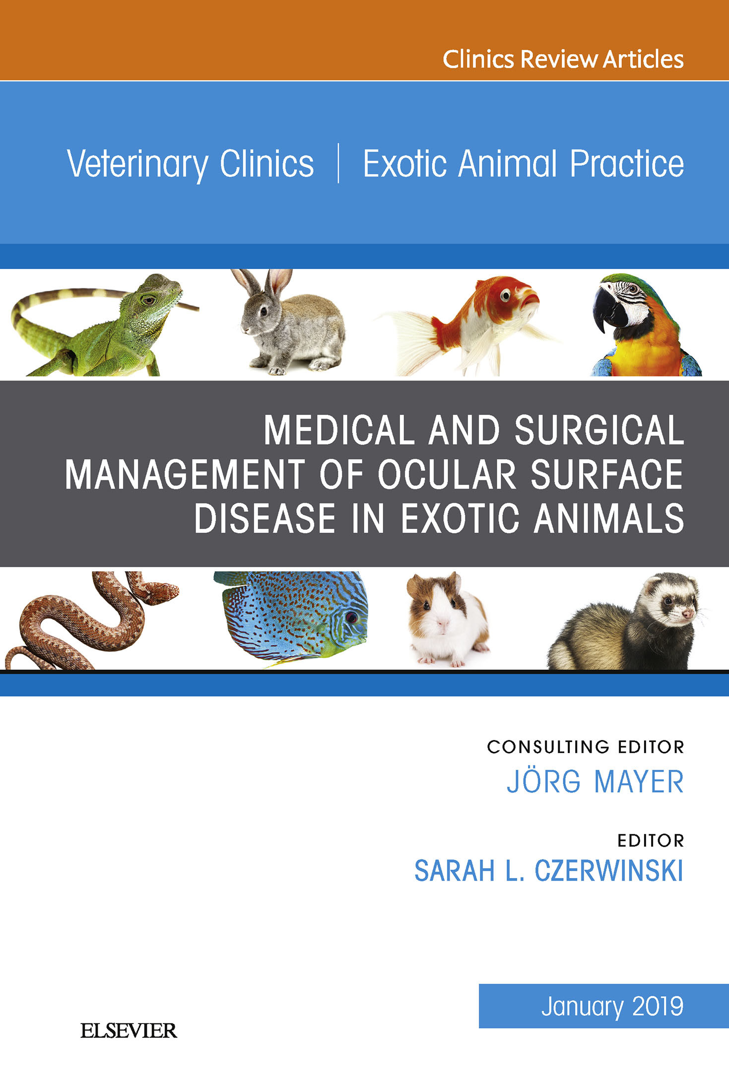 Cover Medical and Surgical Management of Ocular Surface Disease in Exotic Animals, An Issue of Veterinary Clinics of North America: Exotic Animal Practice, Ebook