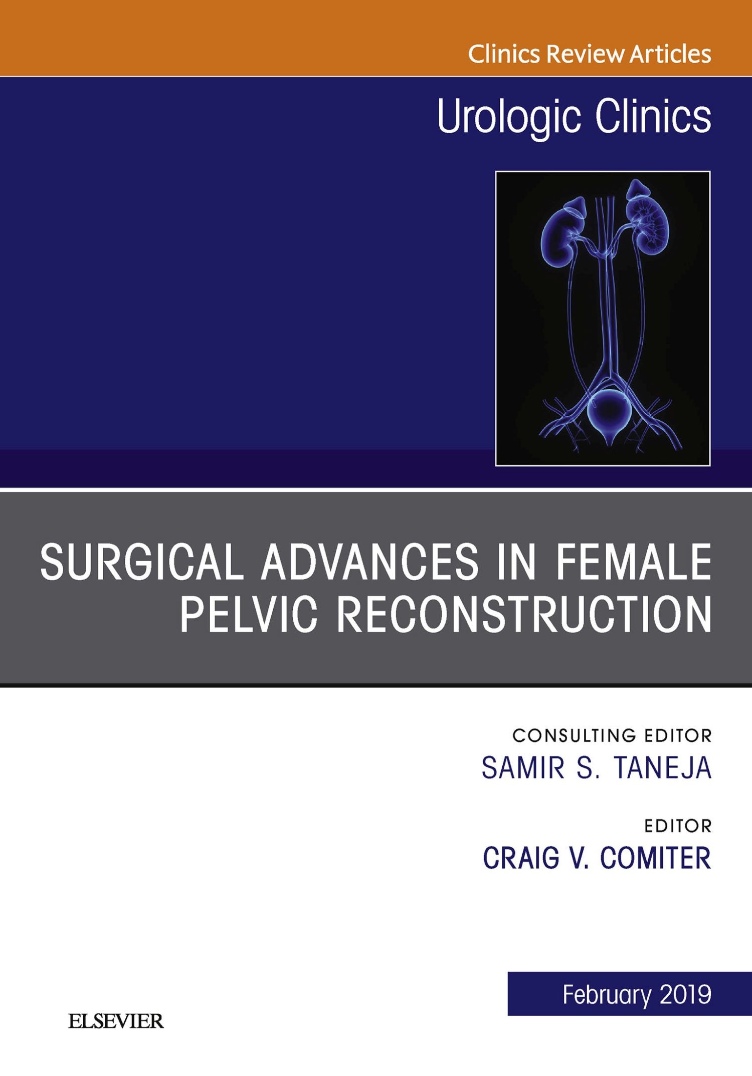 Surgical Advances in Female Pelvic Reconstruction, An Issue of Urologic Clinics, Ebook