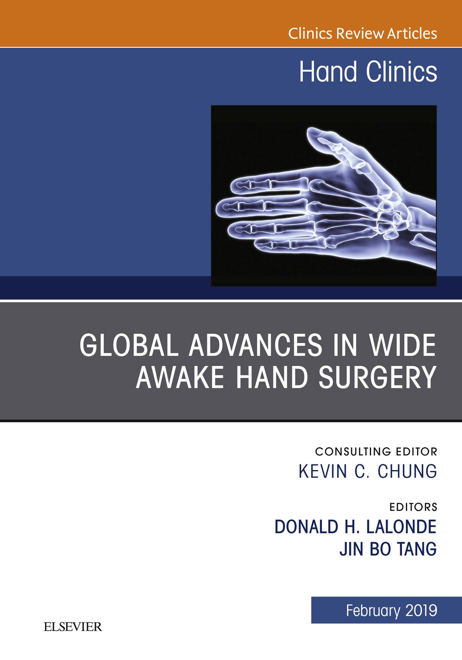 Cover Global Advances in Wide Awake Hand Surgery, An Issue of Hand Clinics, An Issue of Hand Clinics, E-Book