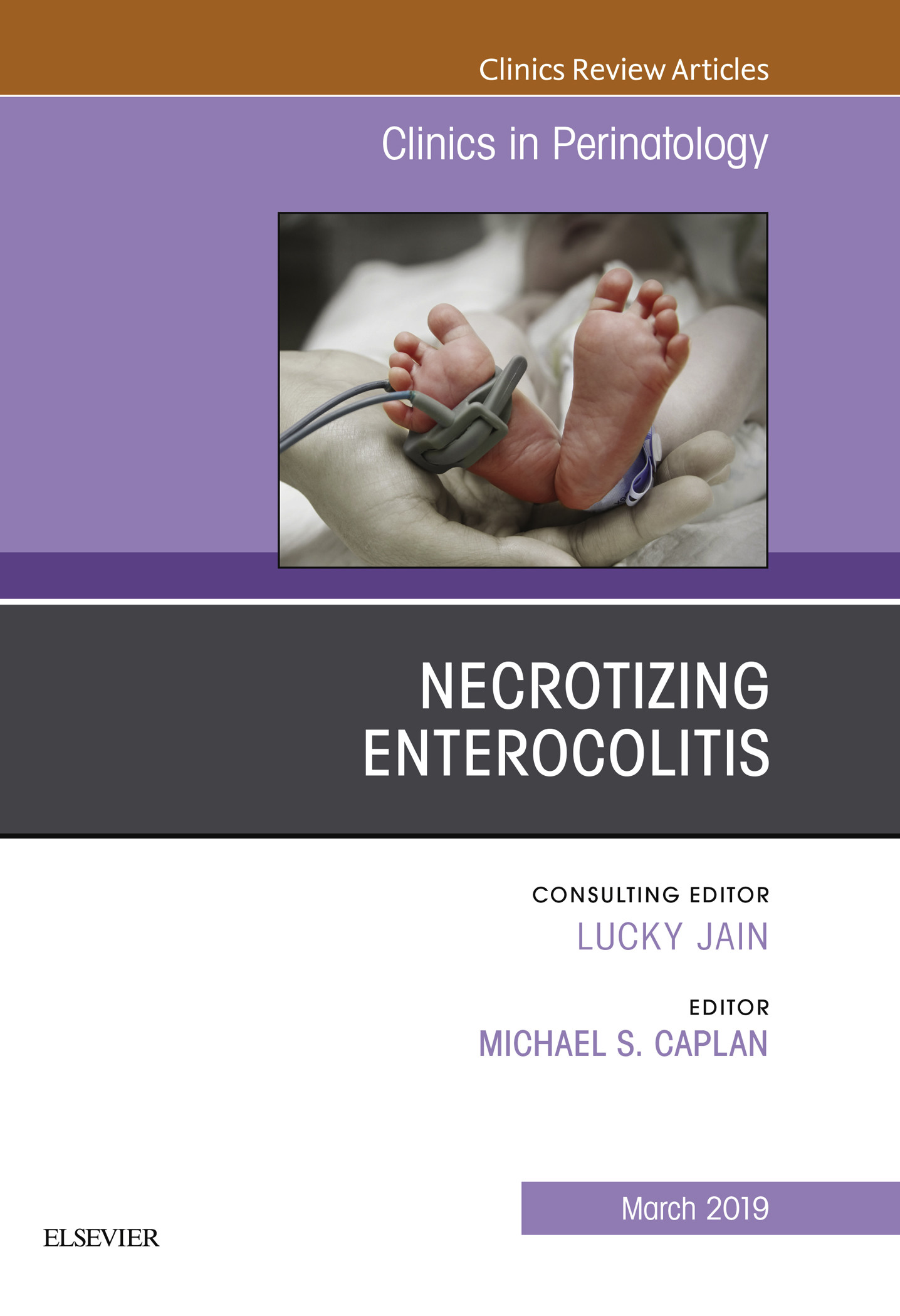 Cover Necrotizing Enterocolitis, An Issue of Clinics in Perinatology, Ebook