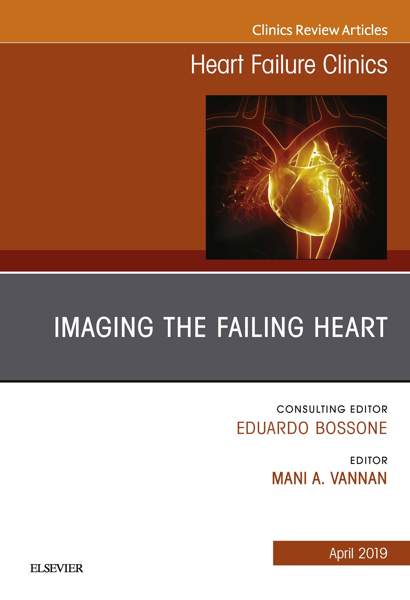 Imaging the Failing Heart, An Issue of Heart Failure Clinics, Ebook