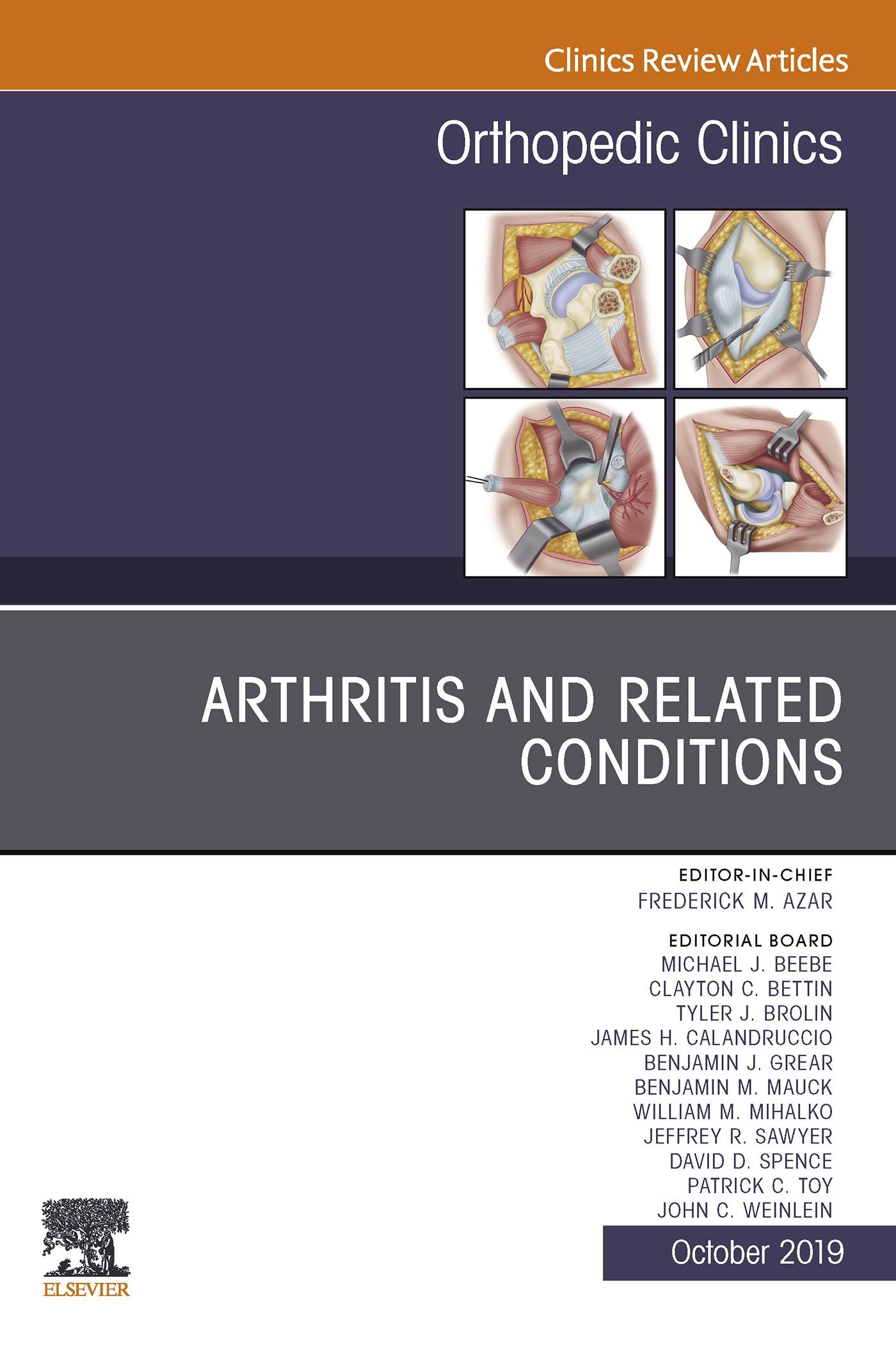 Arthritis and Related Conditions, An Issue of Orthopedic Clinics E-Book