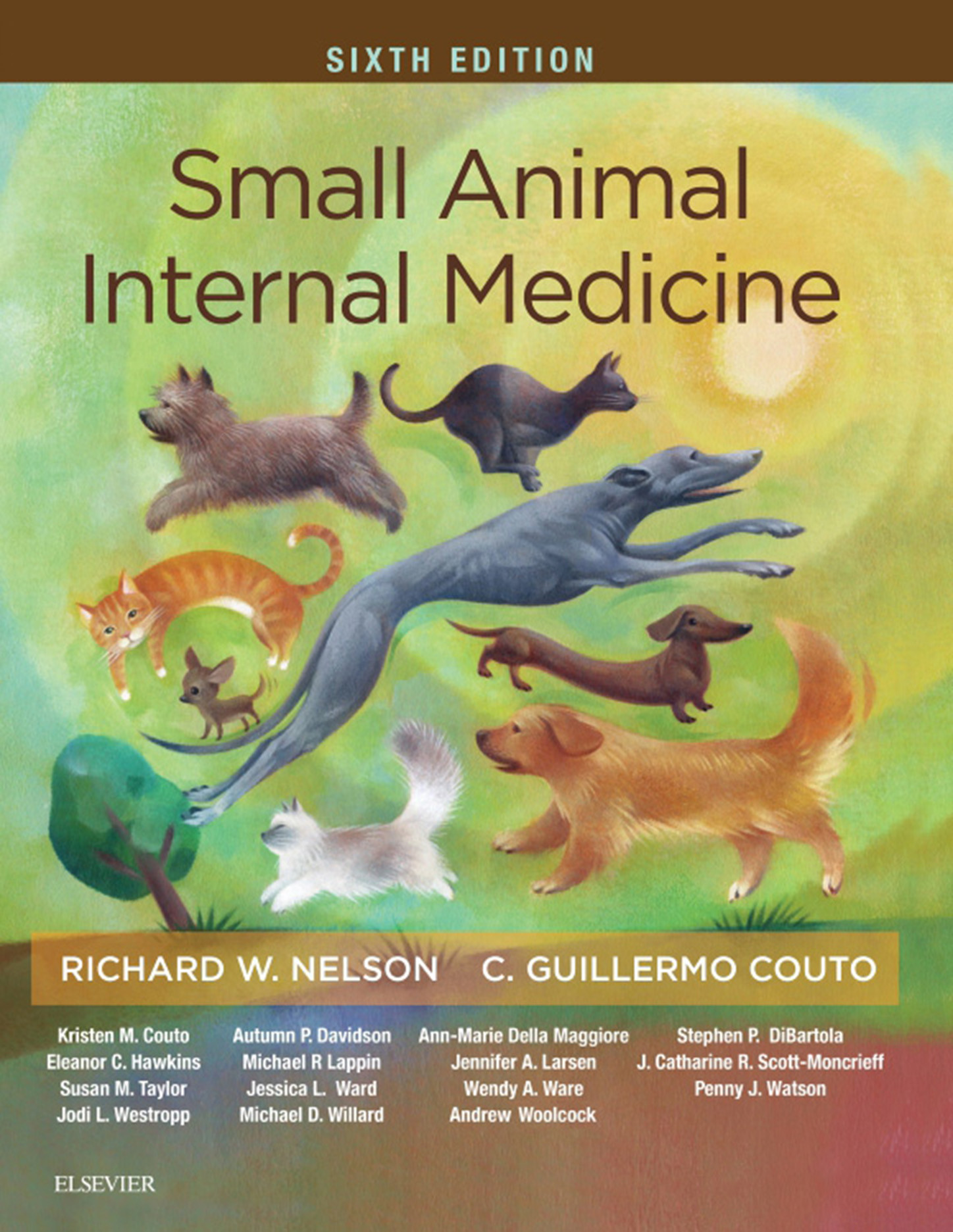 Cover Small Animal Internal Medicine - E-Book