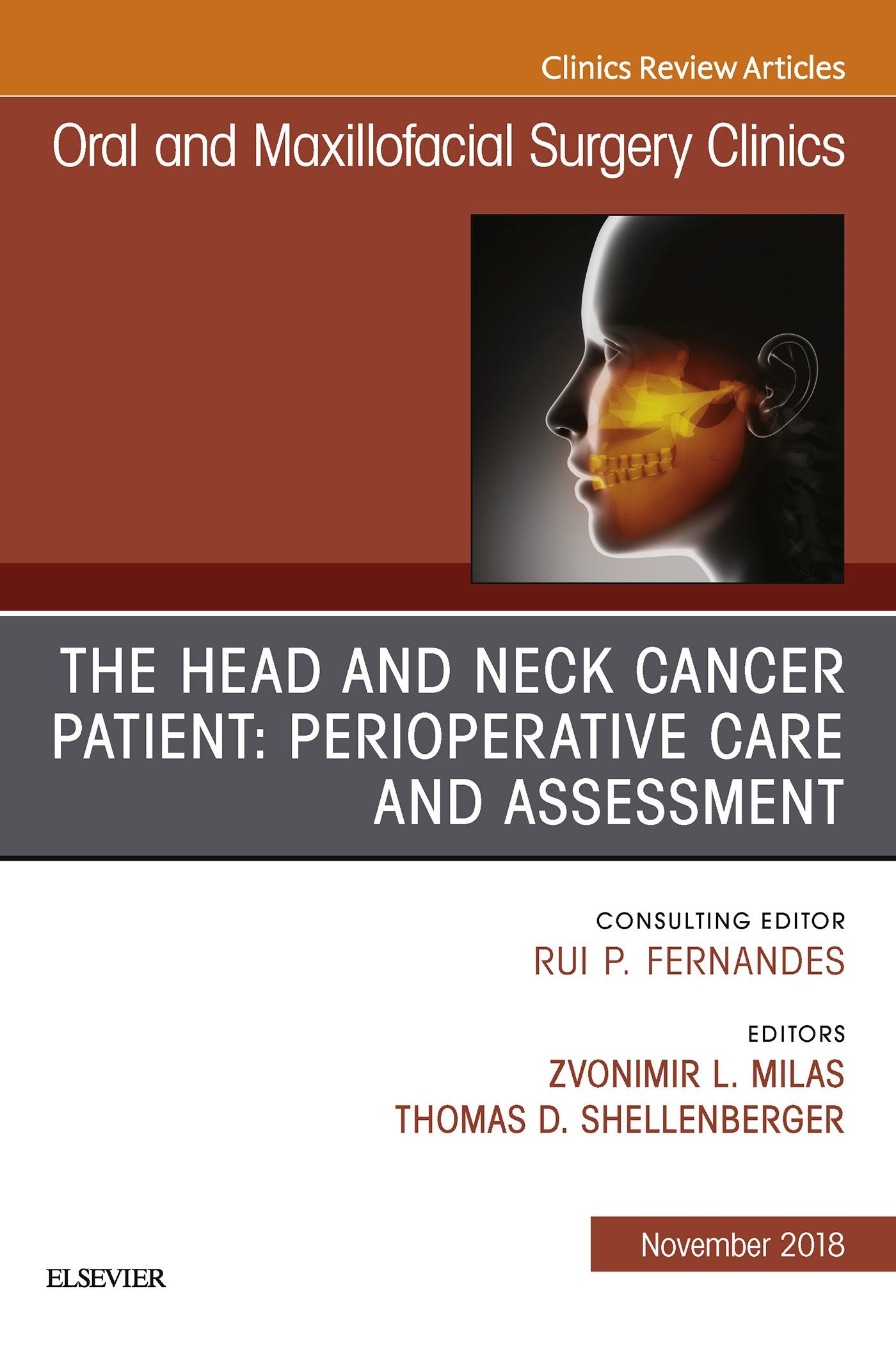 Cover The Head and Neck Cancer Patient: Perioperative Care and Assessment, An Issue of Oral and Maxillofacial Surgery Clinics of North America E-Book
