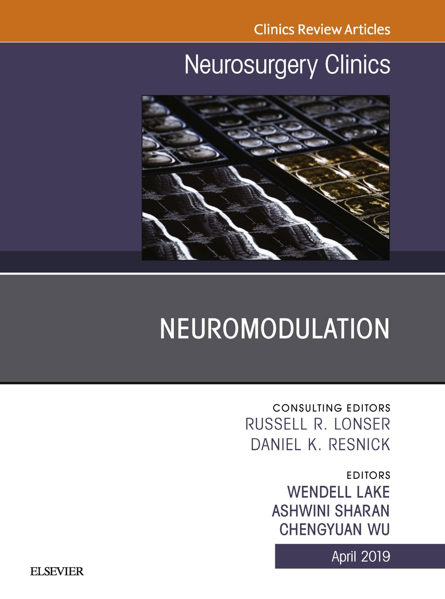 Neuromodulation, An Issue of Neurosurgery Clinics of North America, An Issue of Neurosurgery Clinics of North America, Ebook
