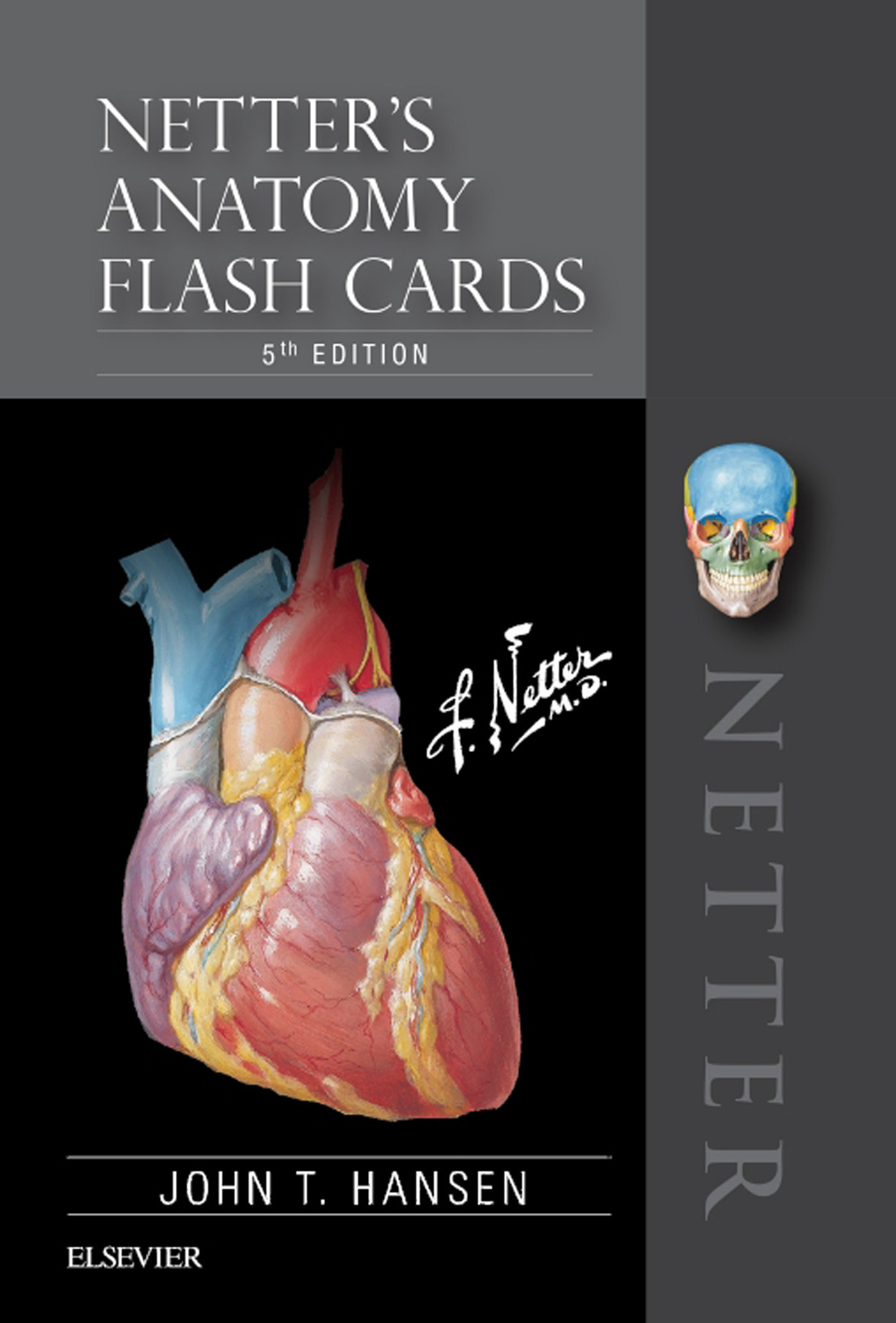 Cover Netter's Anatomy Flash Cards E-Book