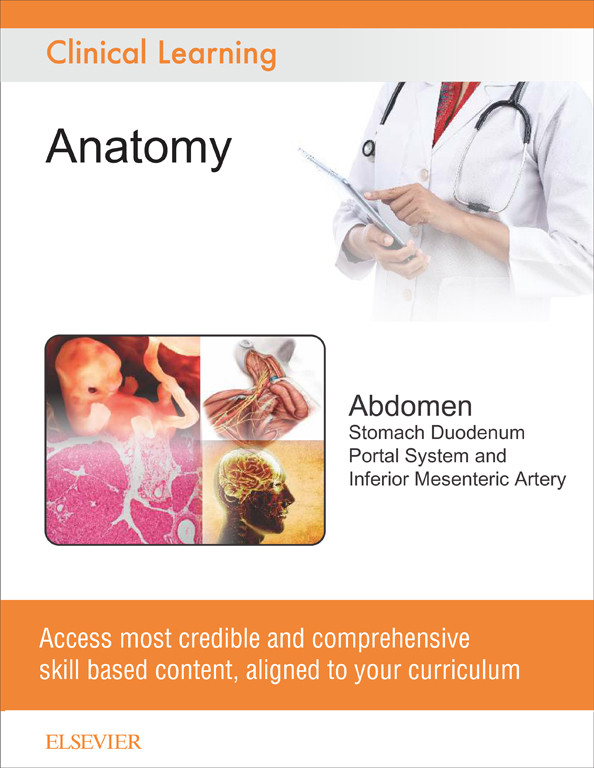 Abdomen - Stomach, Duodenum, Portal System and Inferior Mesenteric Artery