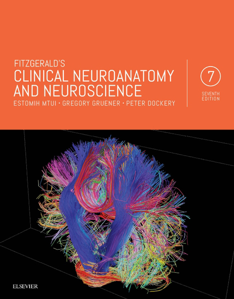 Cover Fitzgerald's Clinical Neuroanatomy and Neuroscience E-Book