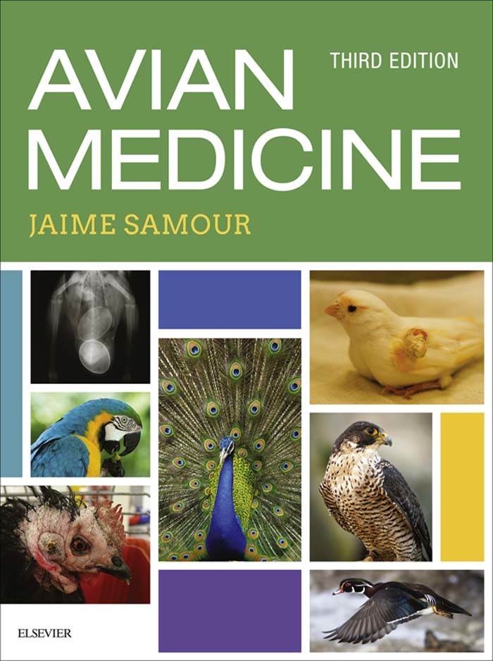 Cover Avian Medicine - E-Book