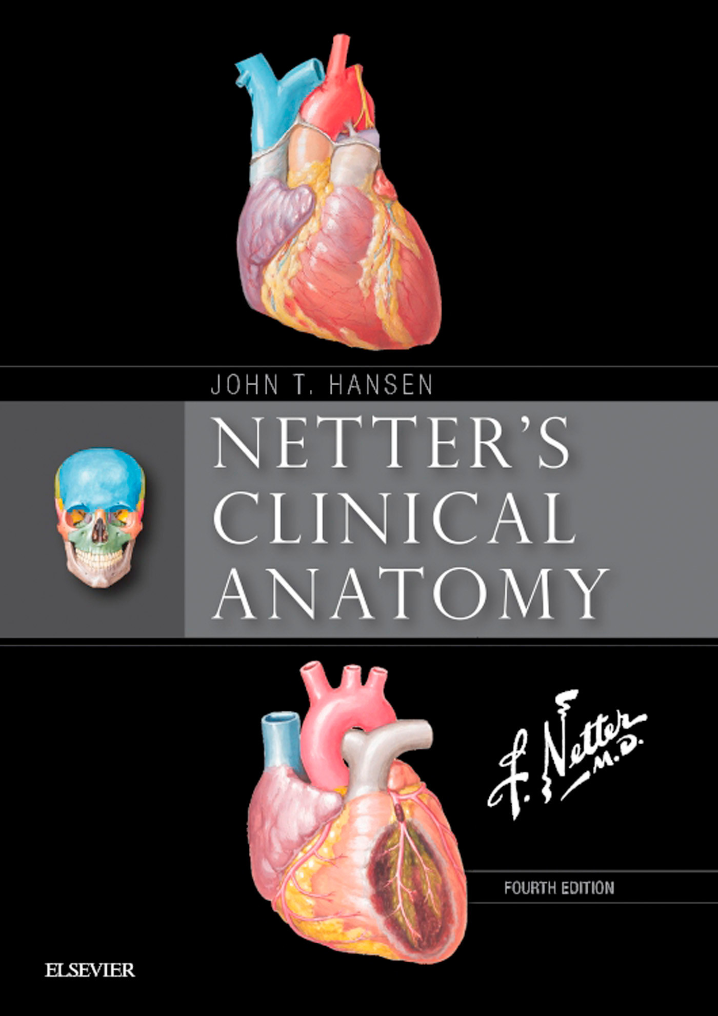 Cover Netter's Clinical Anatomy E-Book