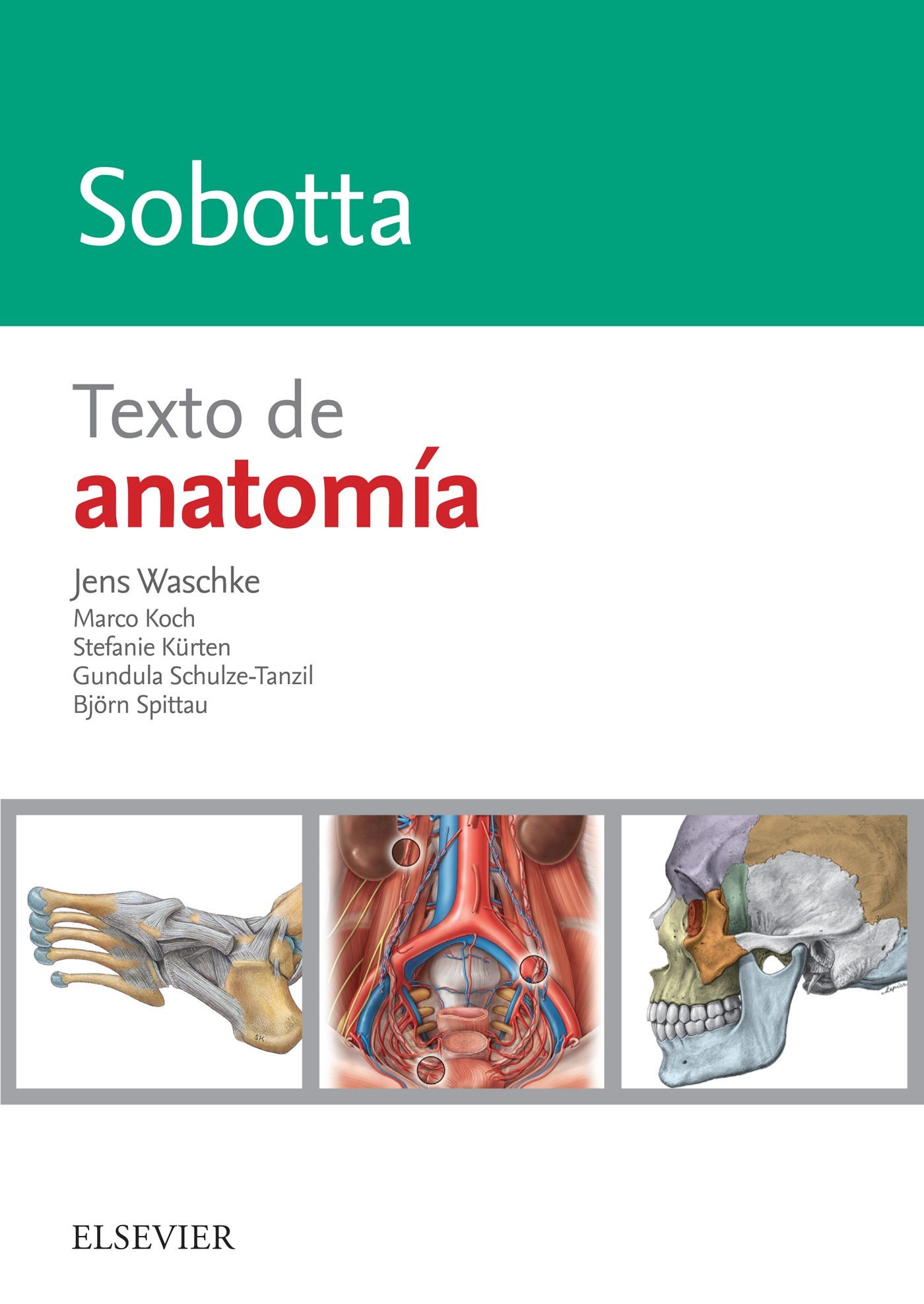 Cover Sobotta. Texto de anatomía