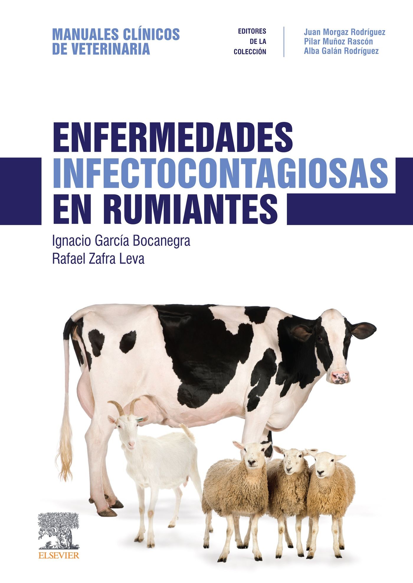 Cover Enfermedades infectocontagiosas en rumiantes