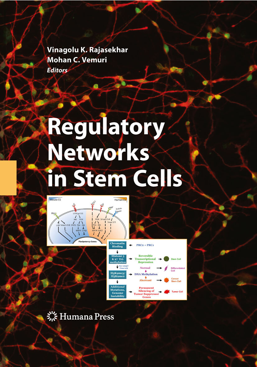 Cover Regulatory Networks in Stem Cells