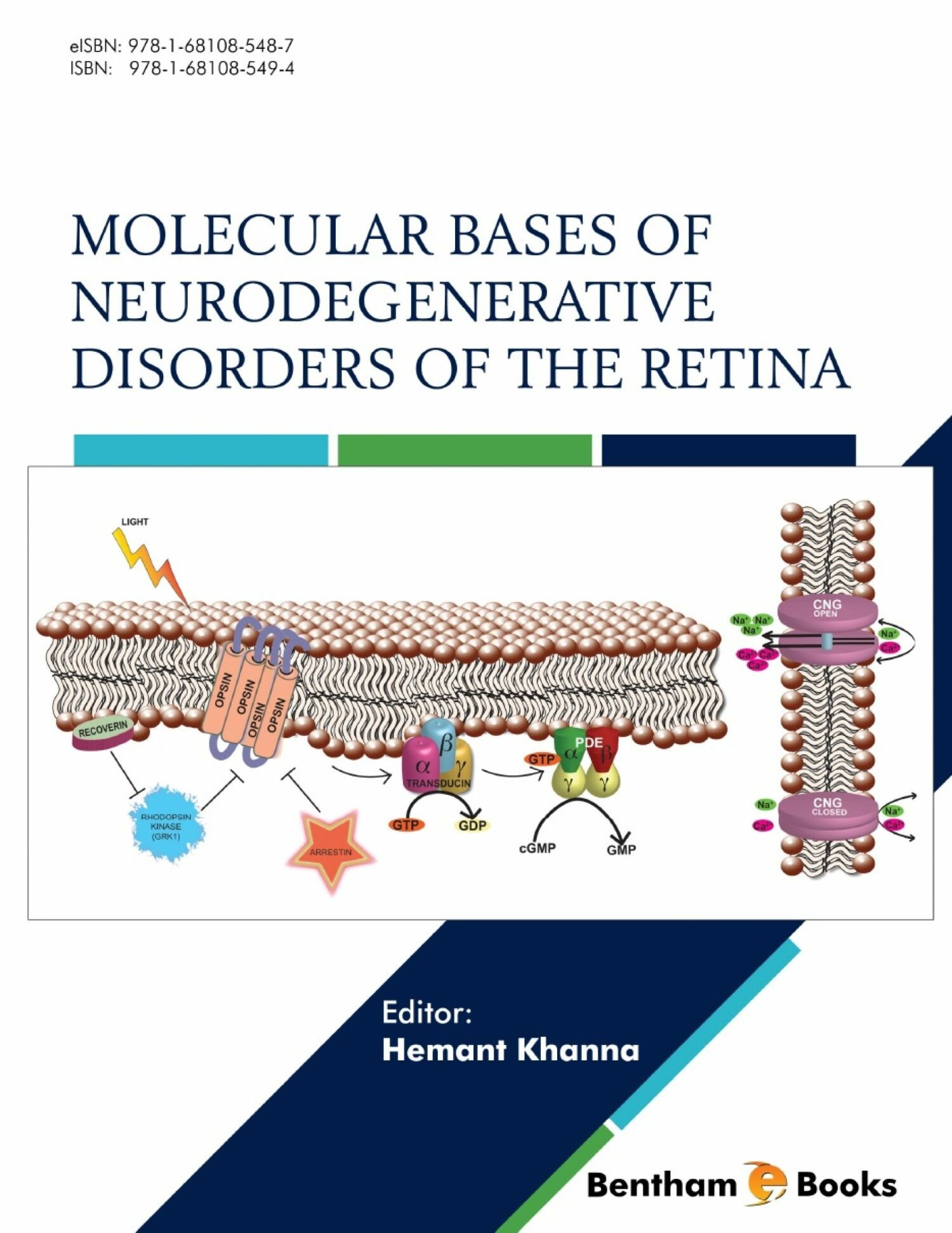 Cover Molecular Bases of Neurodegenerative Disorders of the Retina
