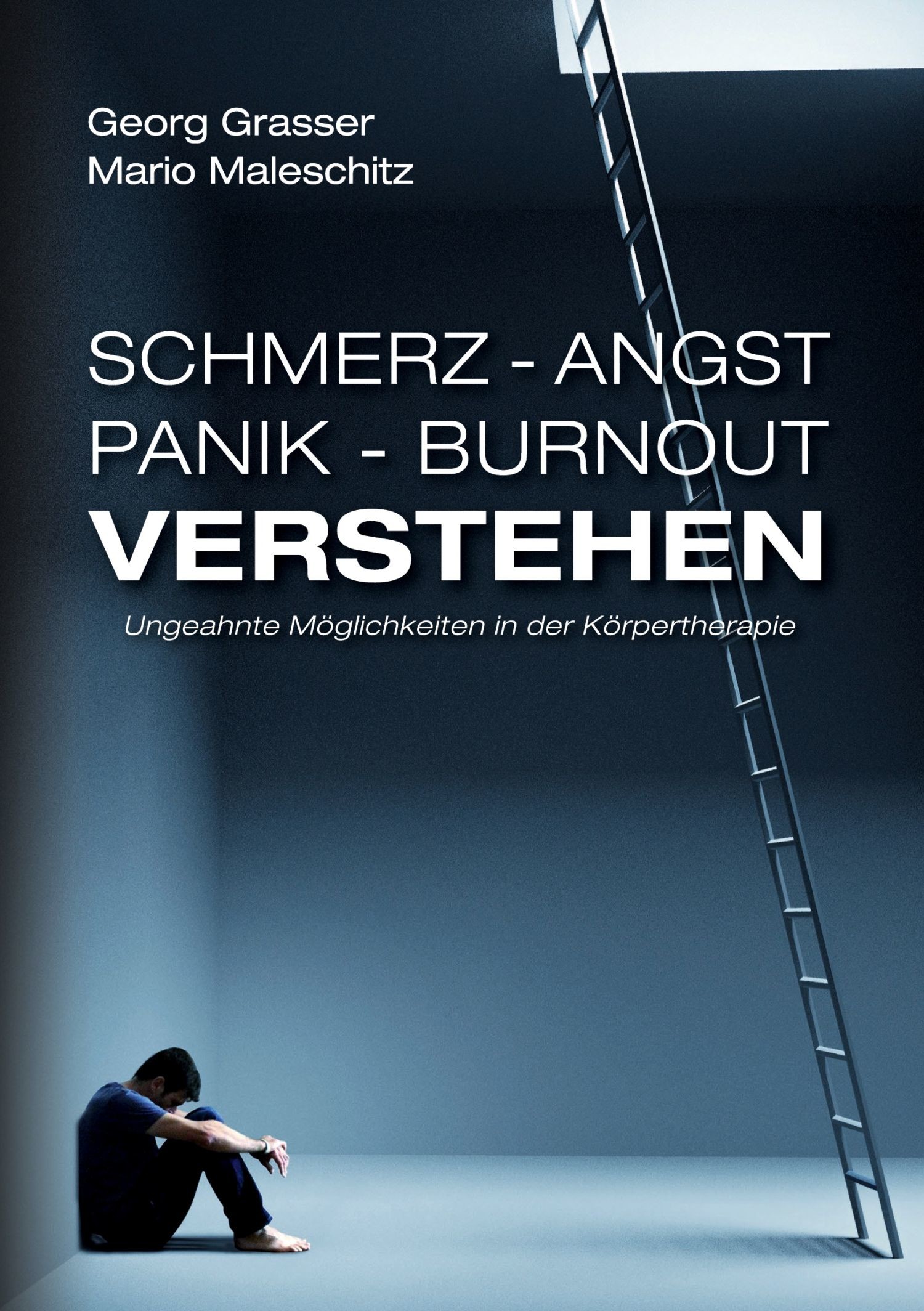 Cover Schmerz - Angst - Panik und Burnout verstehen