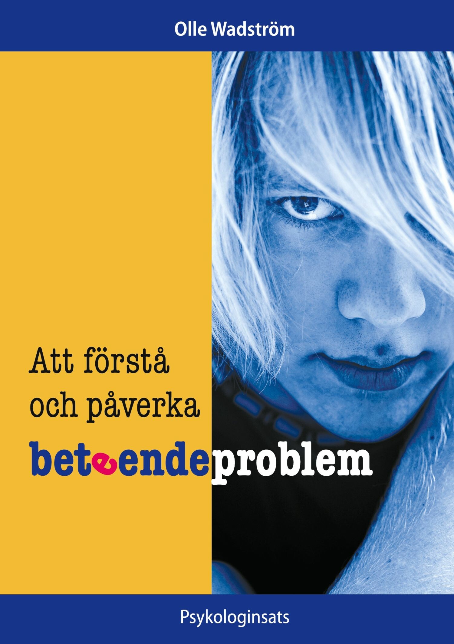 Cover Att förstå och påverka beteendeproblem