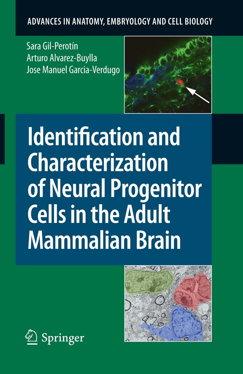 Identification and Characterization of Neural Progenitor Cells in the Adult Mammalian Brain
