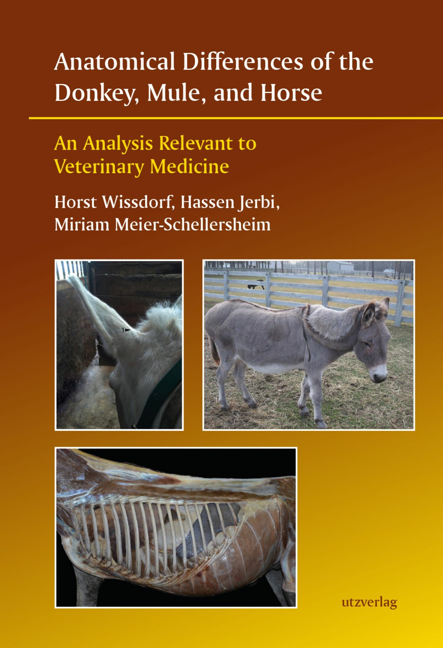 Cover Anatomical Differences of the Donkey, Mule, and Horse