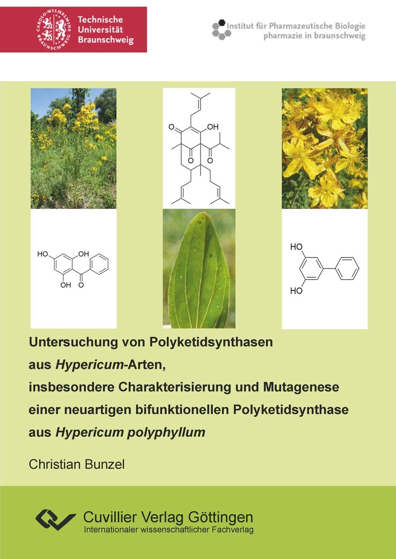 Cover Untersuchung von Polyketidsynthasen aus Hypericum-Arten, insbesondere Charakterisierung und Mutagenese einer neuartigen bifunktionellen Polyketidsynthase aus Hypericum polyphyllum