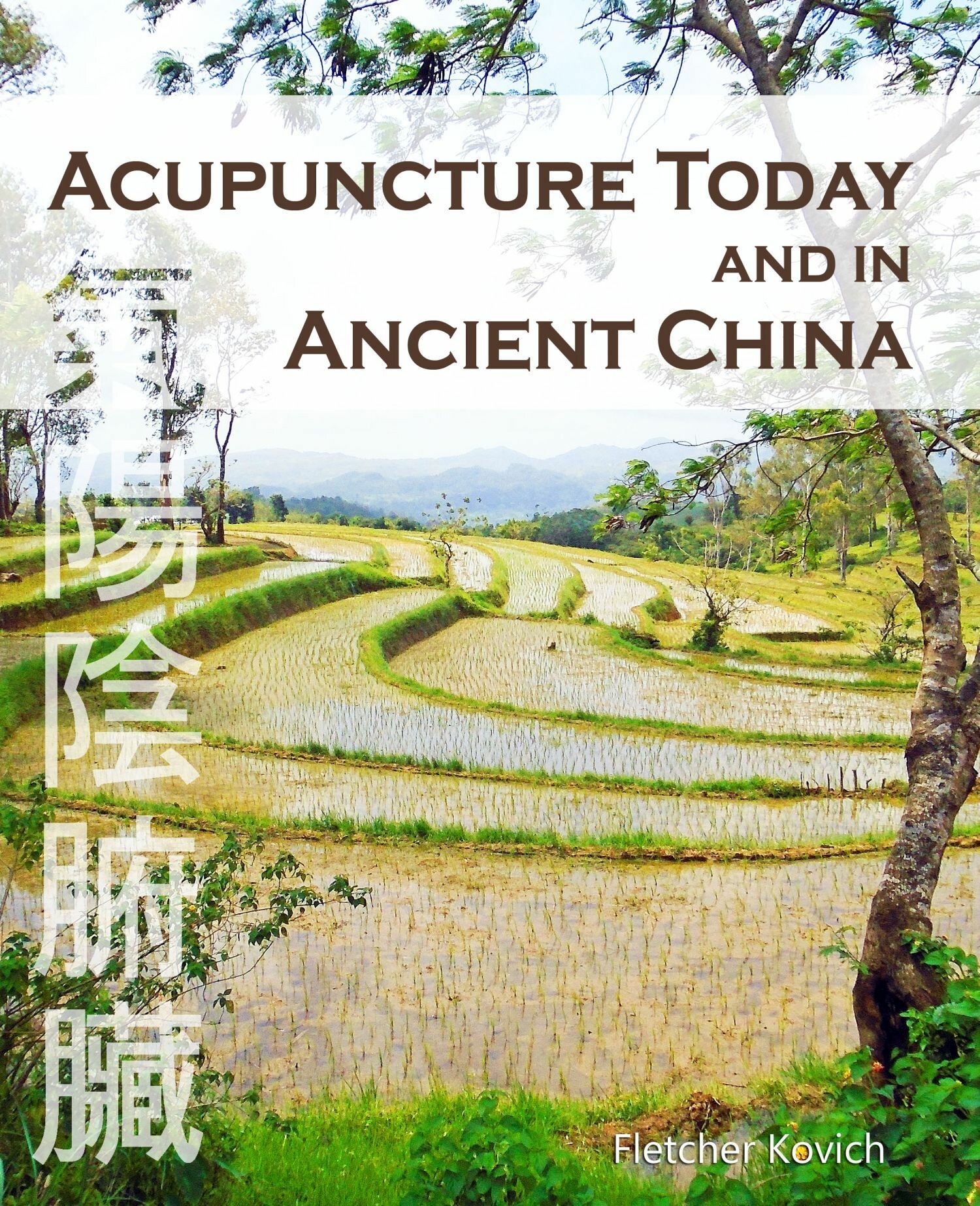 Cover Acupuncture Today and in Ancient China